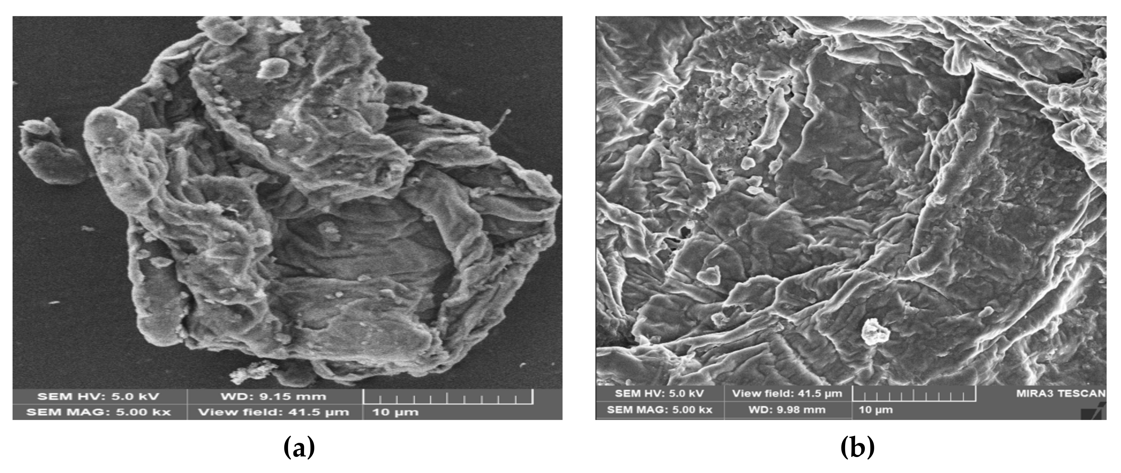 Sustainability 14 10860 g003