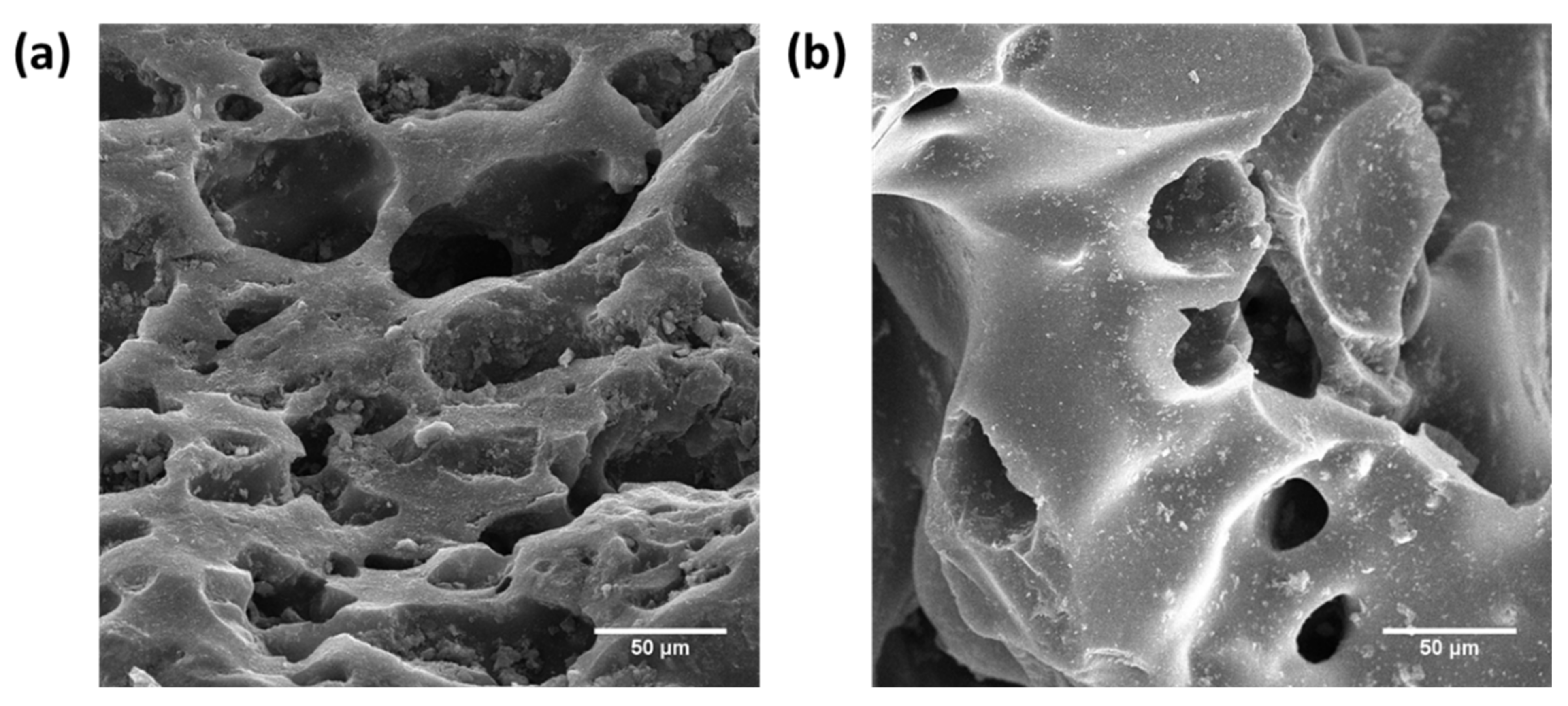 Sustainability 14 10877 g013