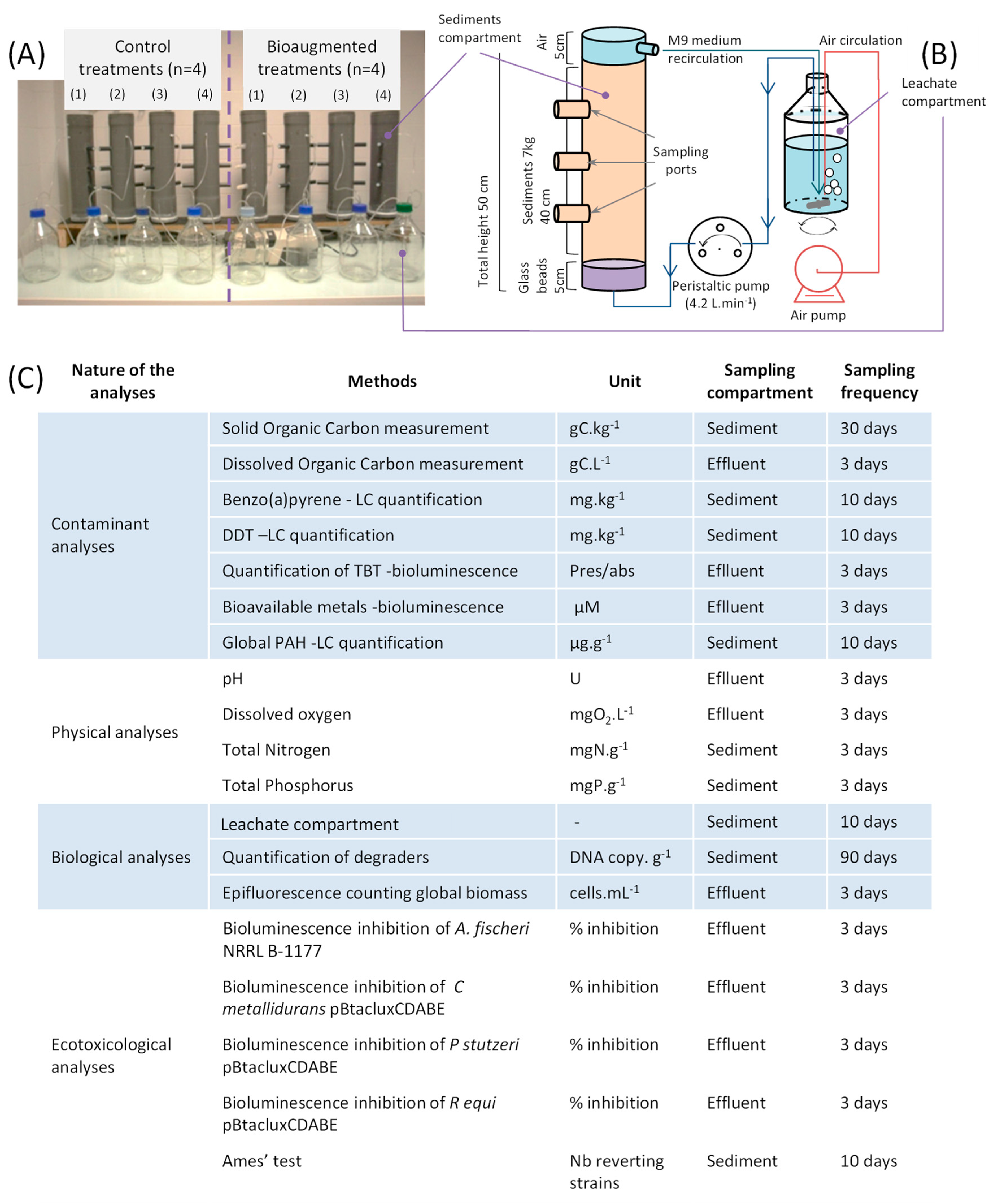 Sustainability 14 10932 g001