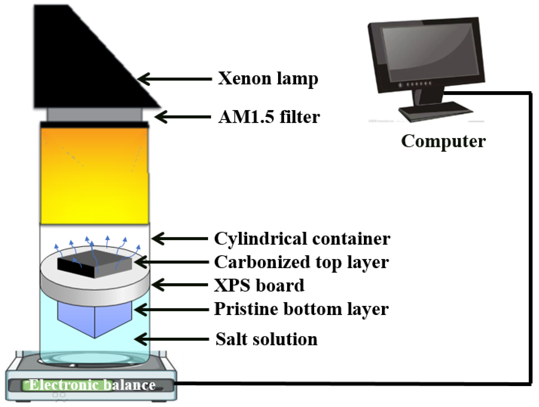 Sustainability 14 10945 g001