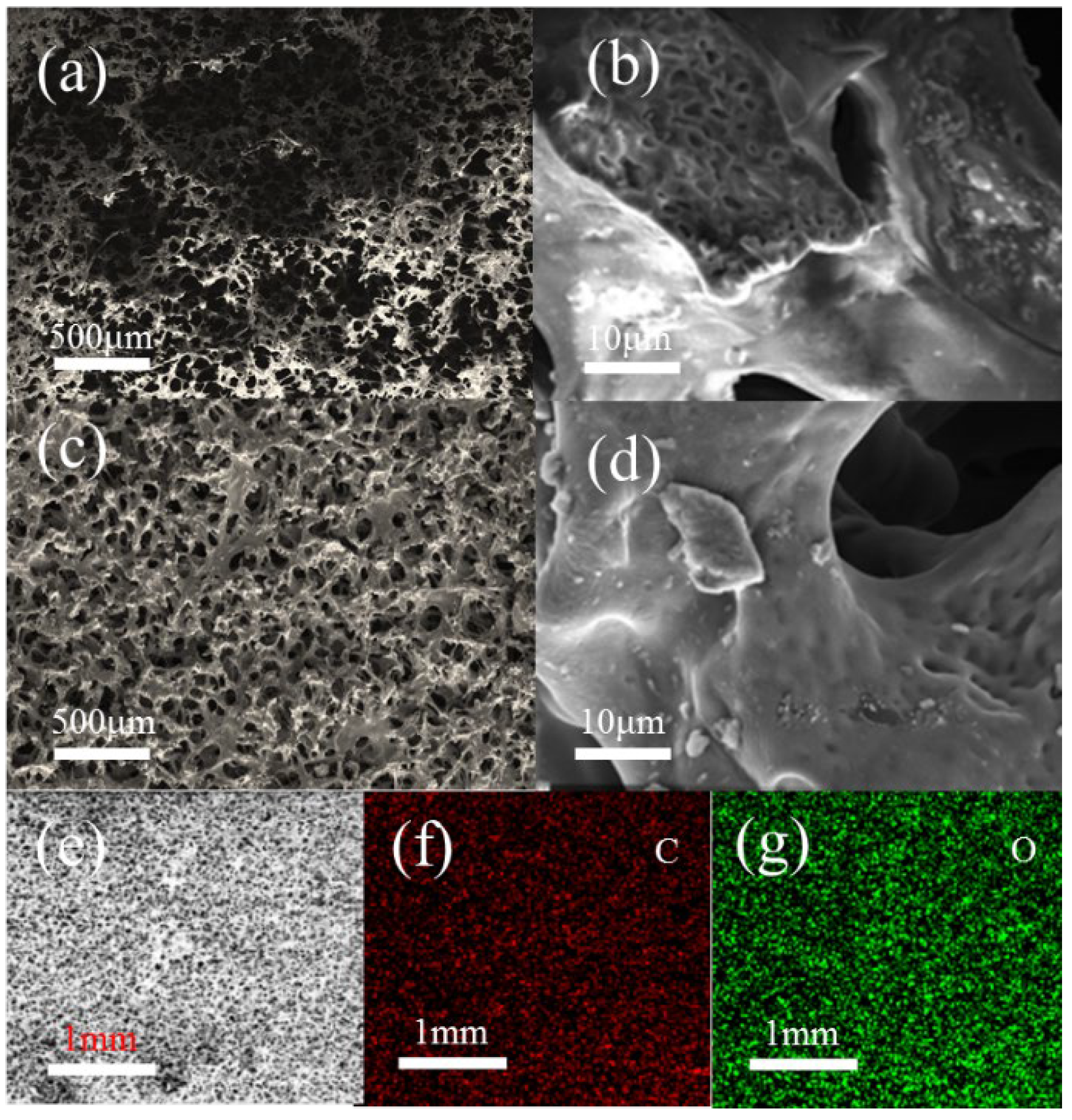 Sustainability 14 10945 g005