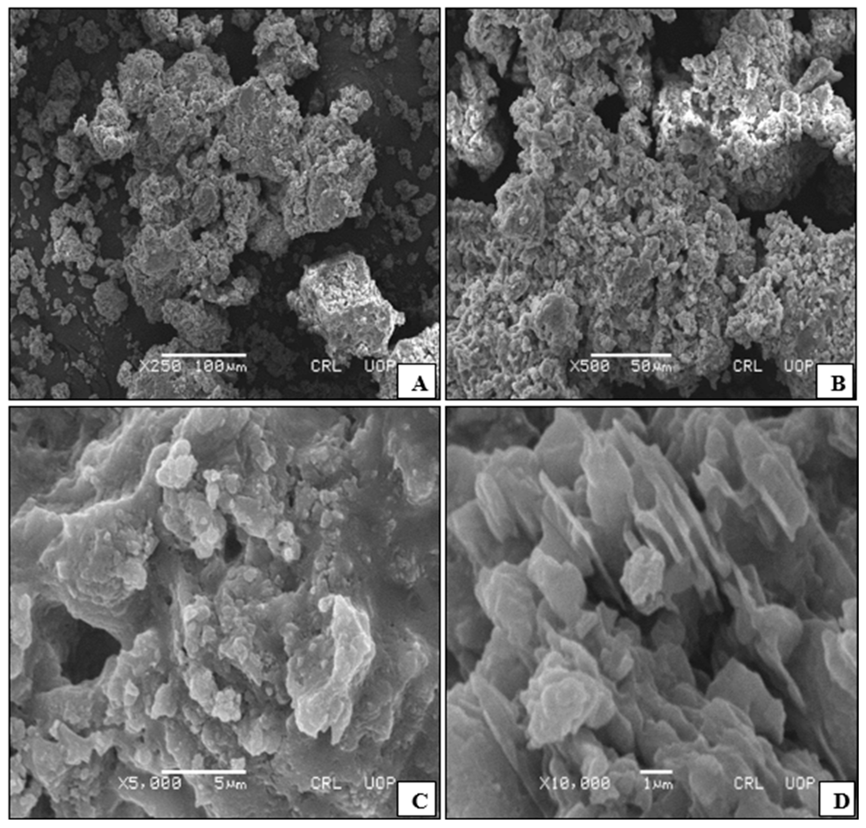 Sustainability 14 10962 g002