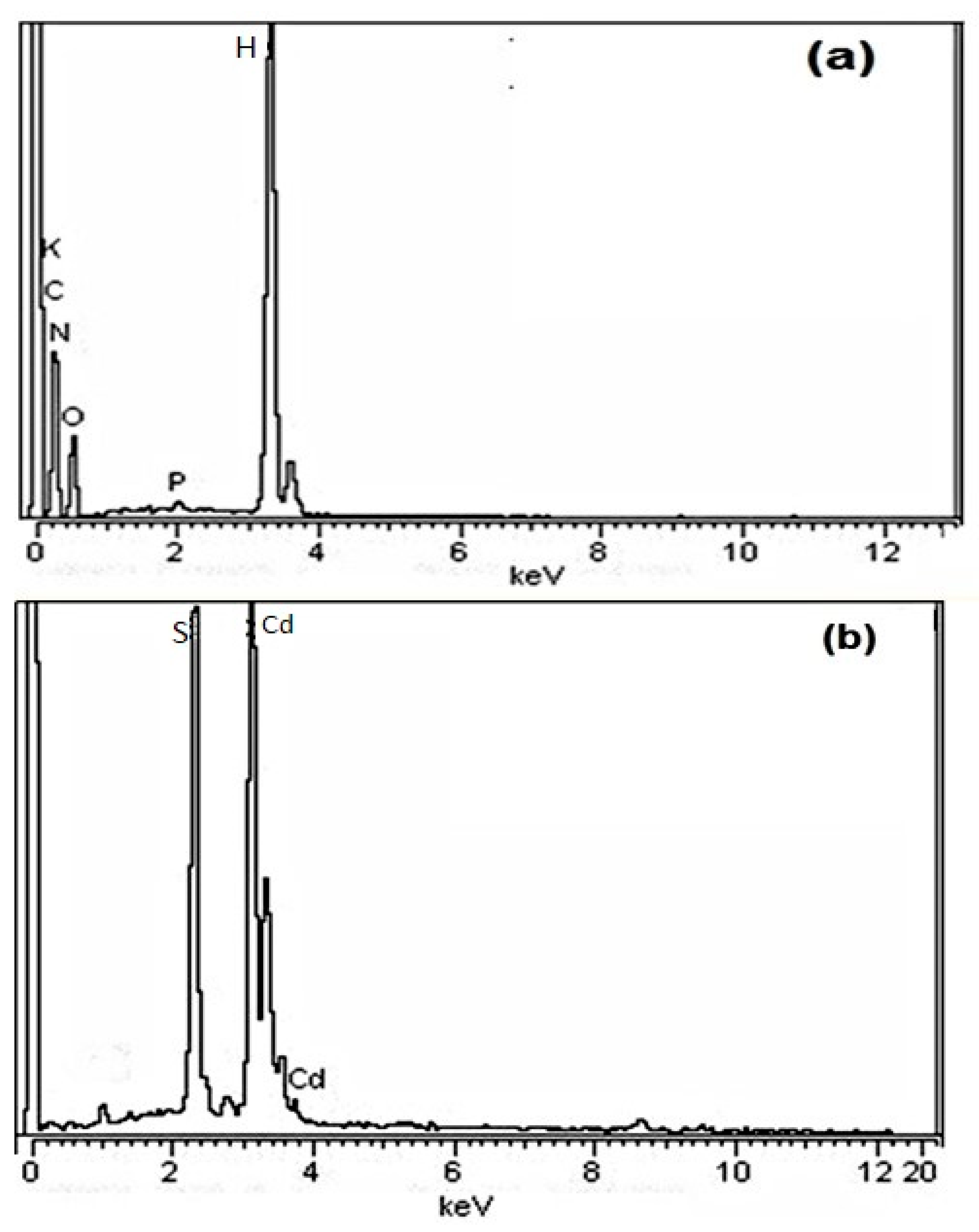 Sustainability 14 10962 g005