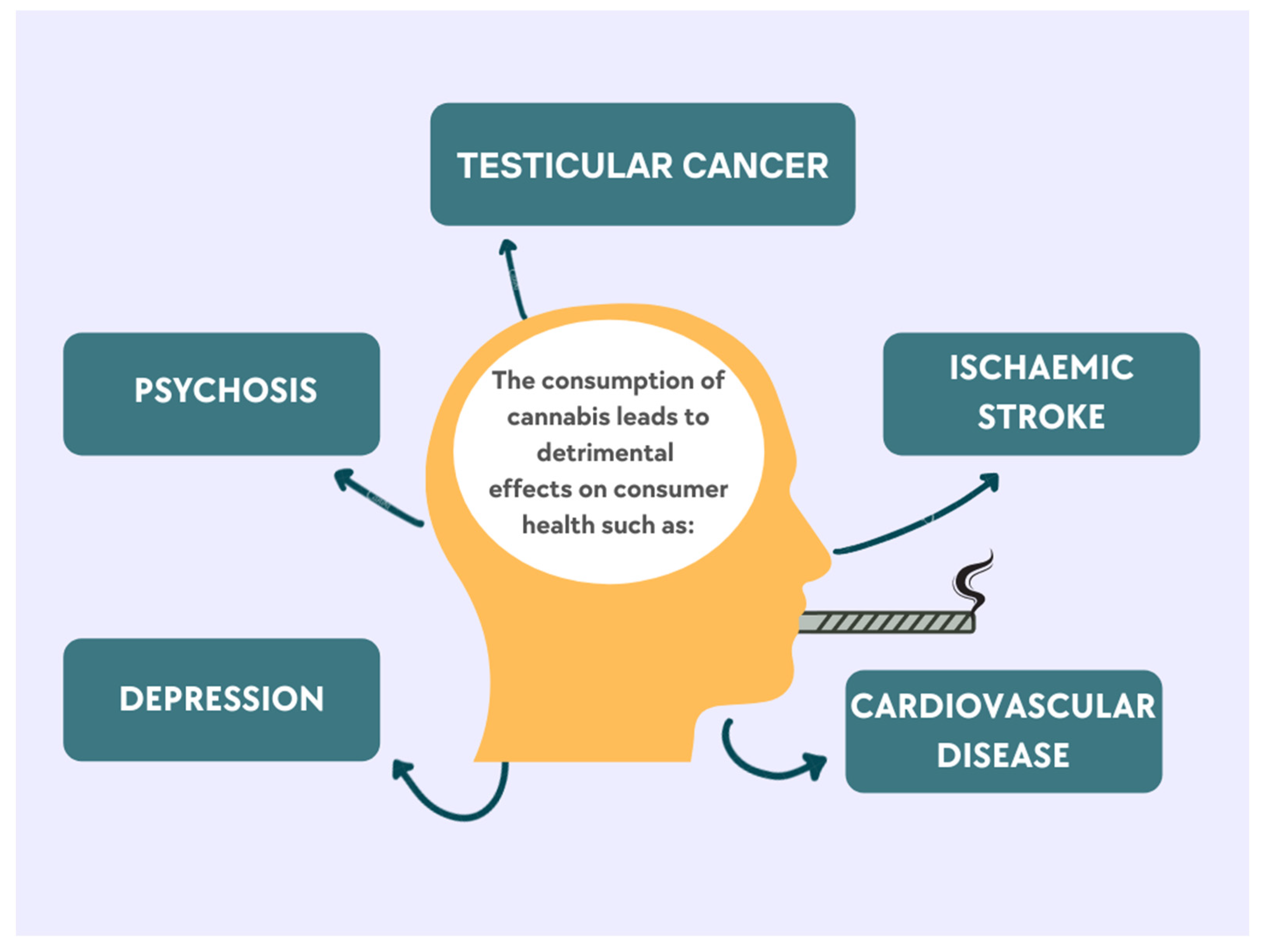 Sustainability 14 10993 g003