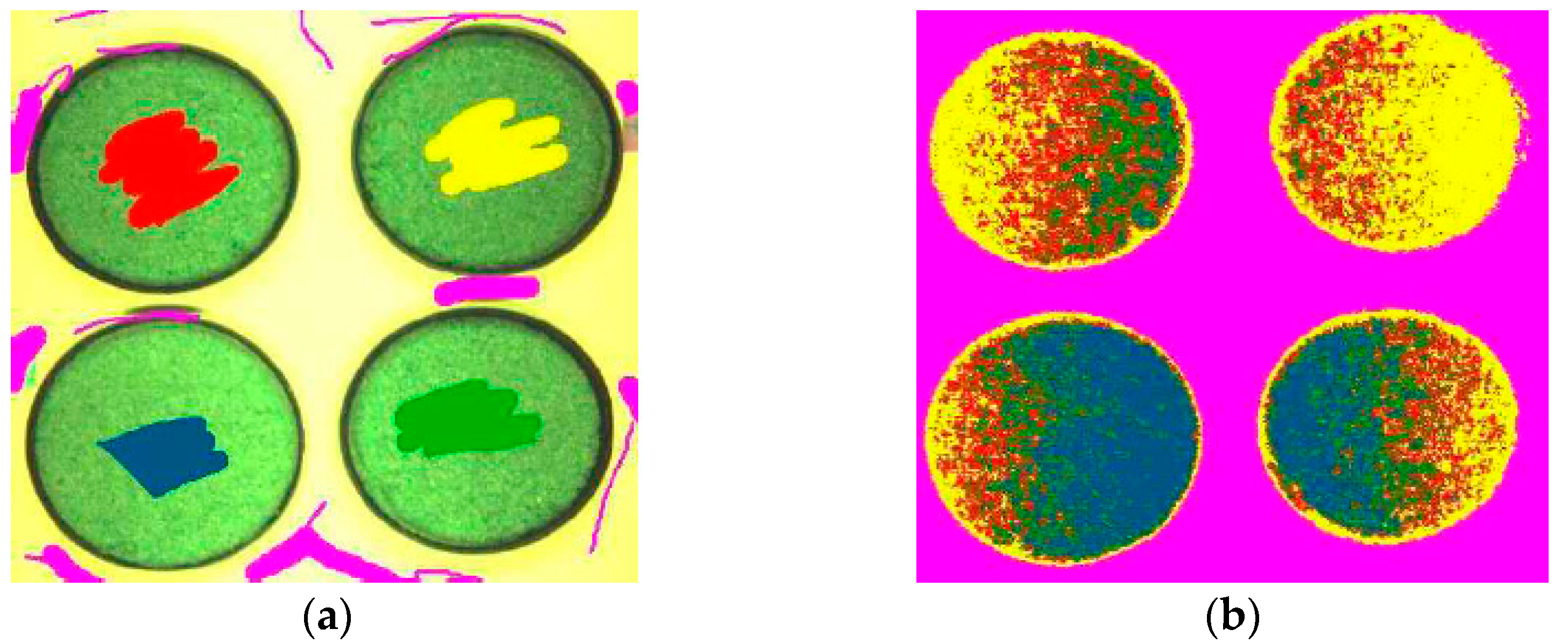Sustainability 14 10999 g005