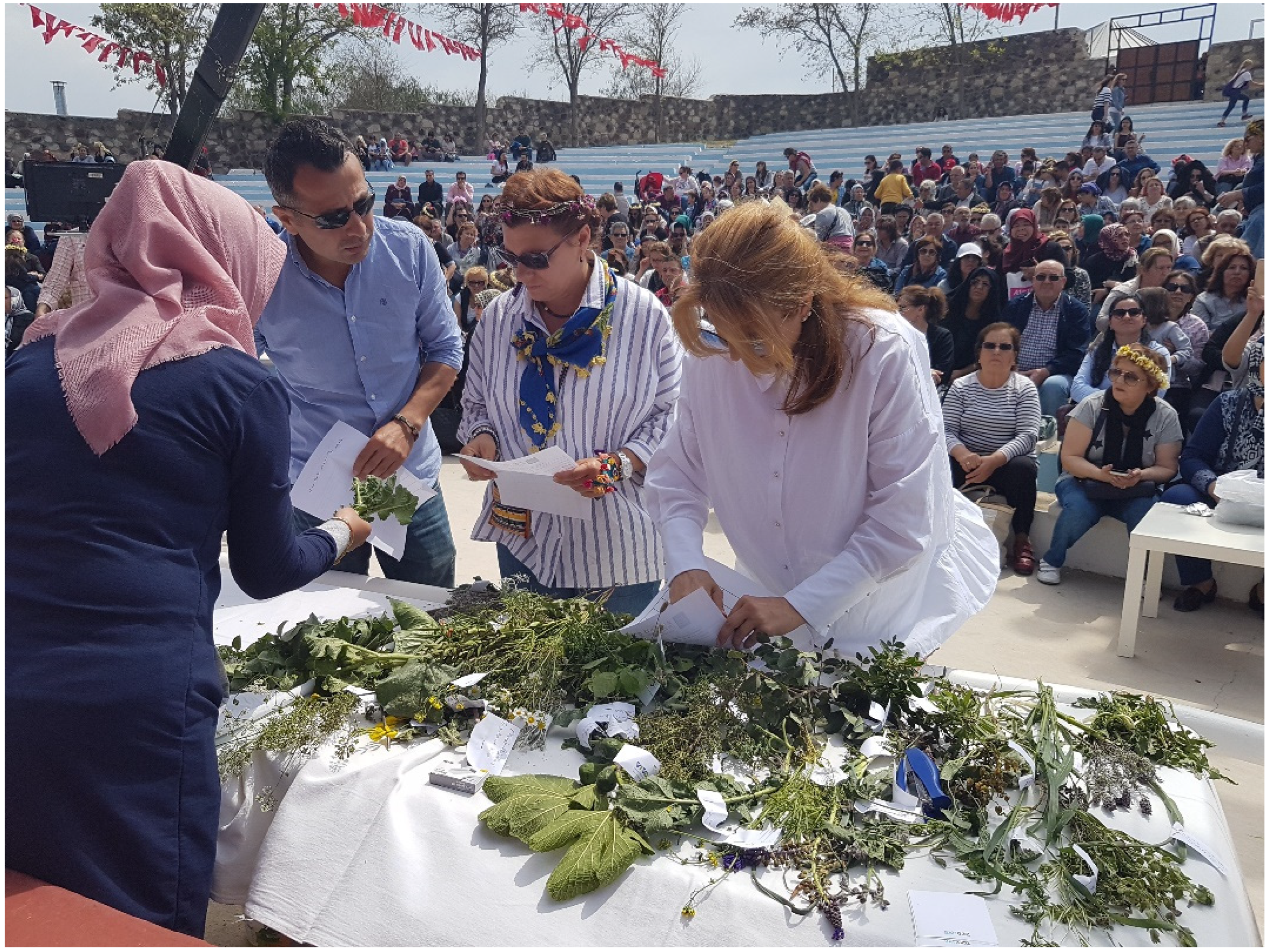 Sustainability 14 11015 g010