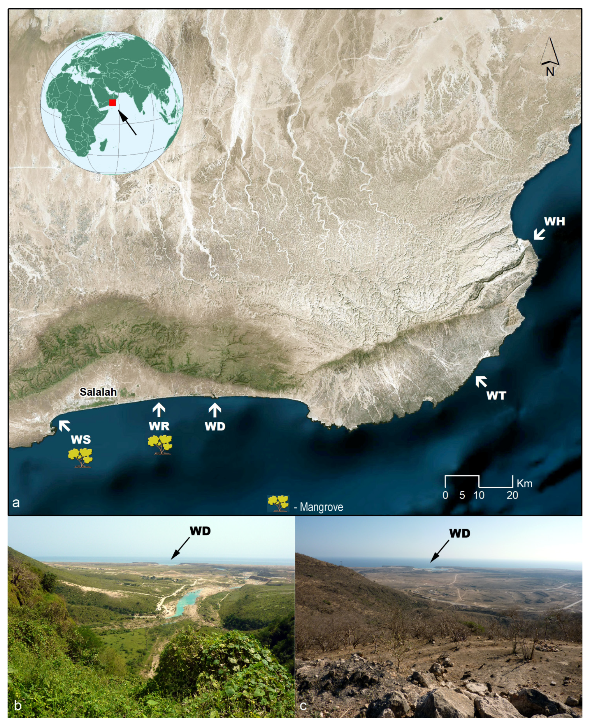 Sustainability 14 11038 g001