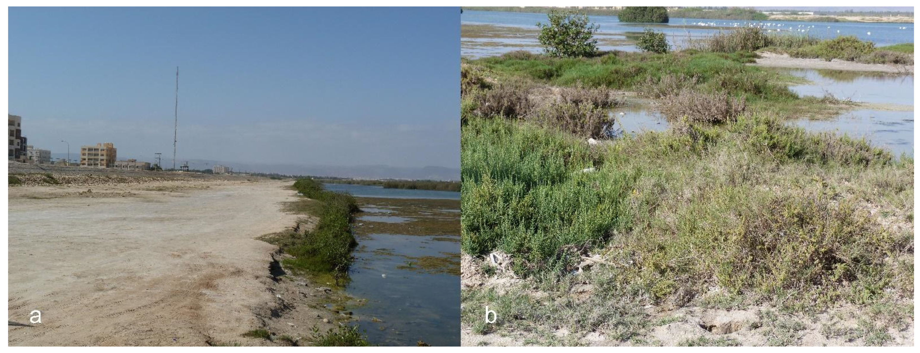 Sustainability 14 11038 g002