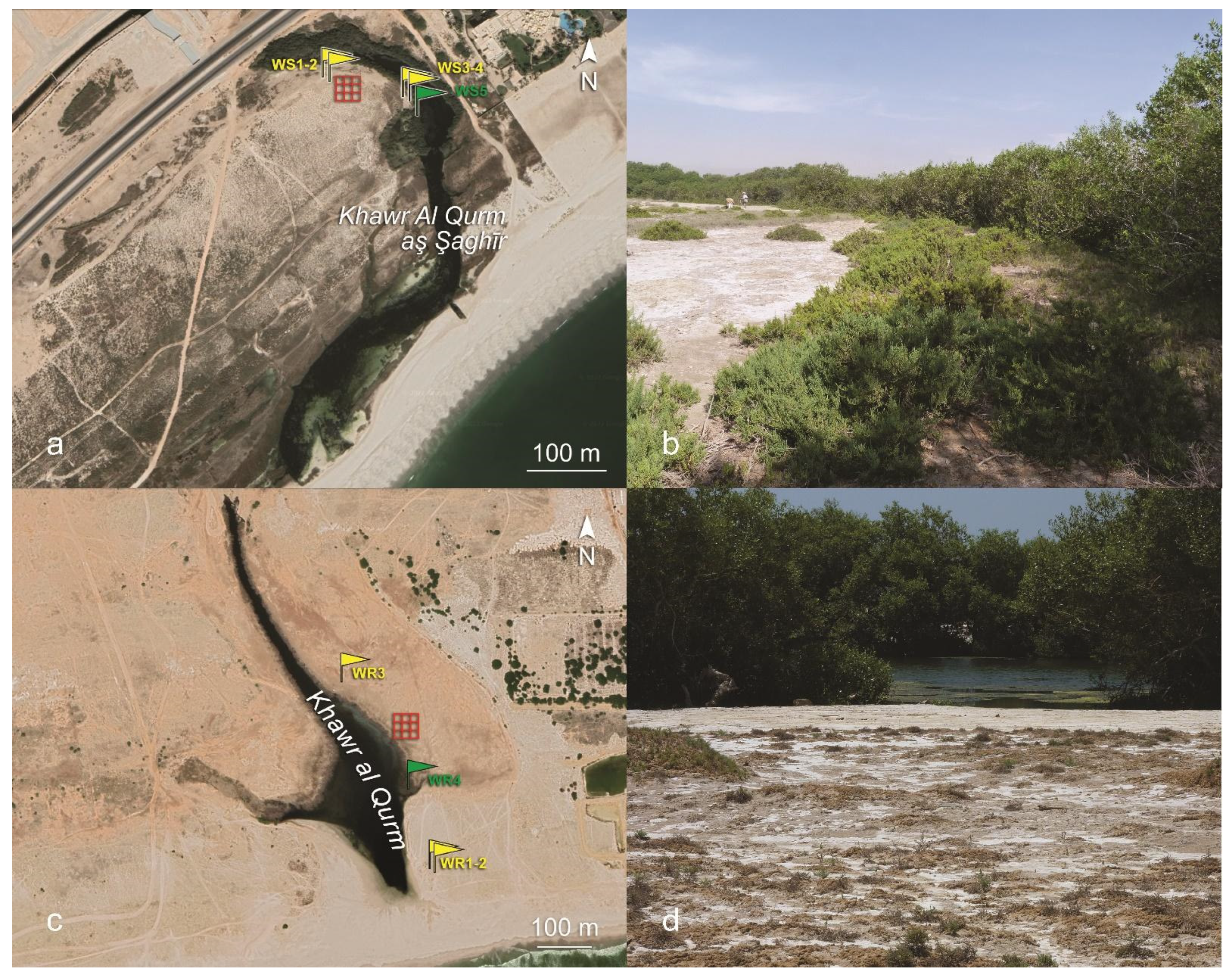 Sustainability 14 11038 g003