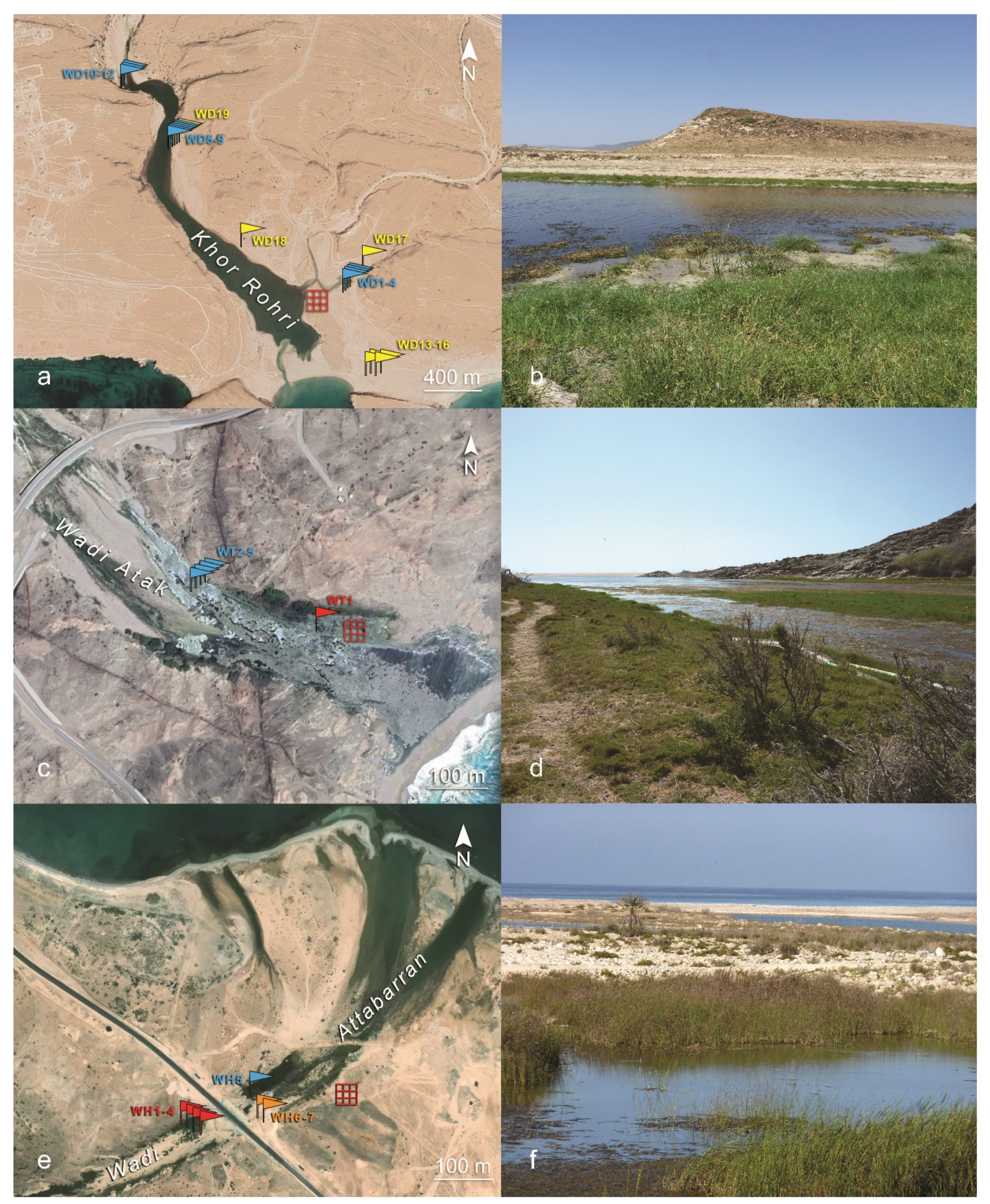 Sustainability 14 11038 g004