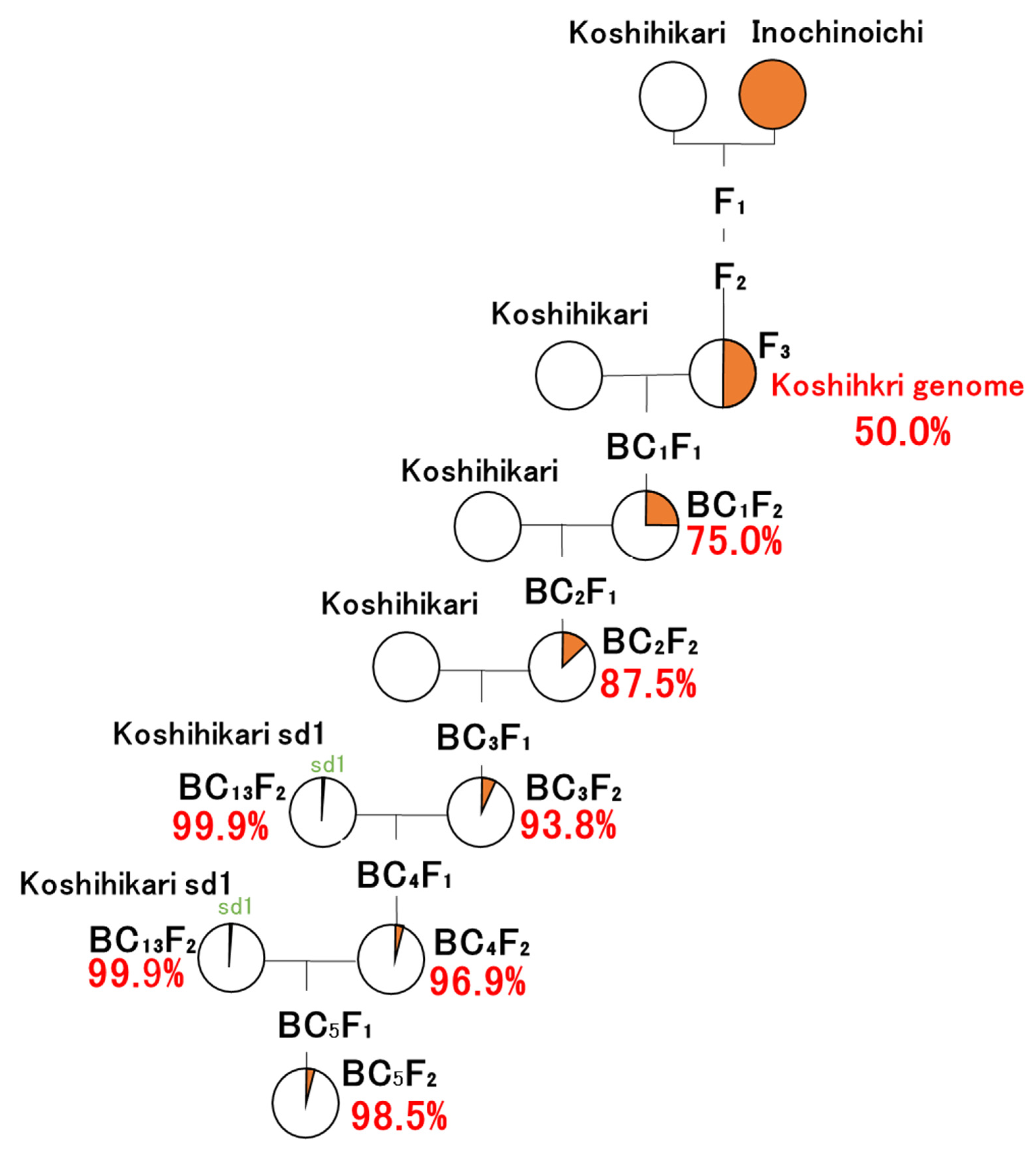 Sustainability 14 11075 g001