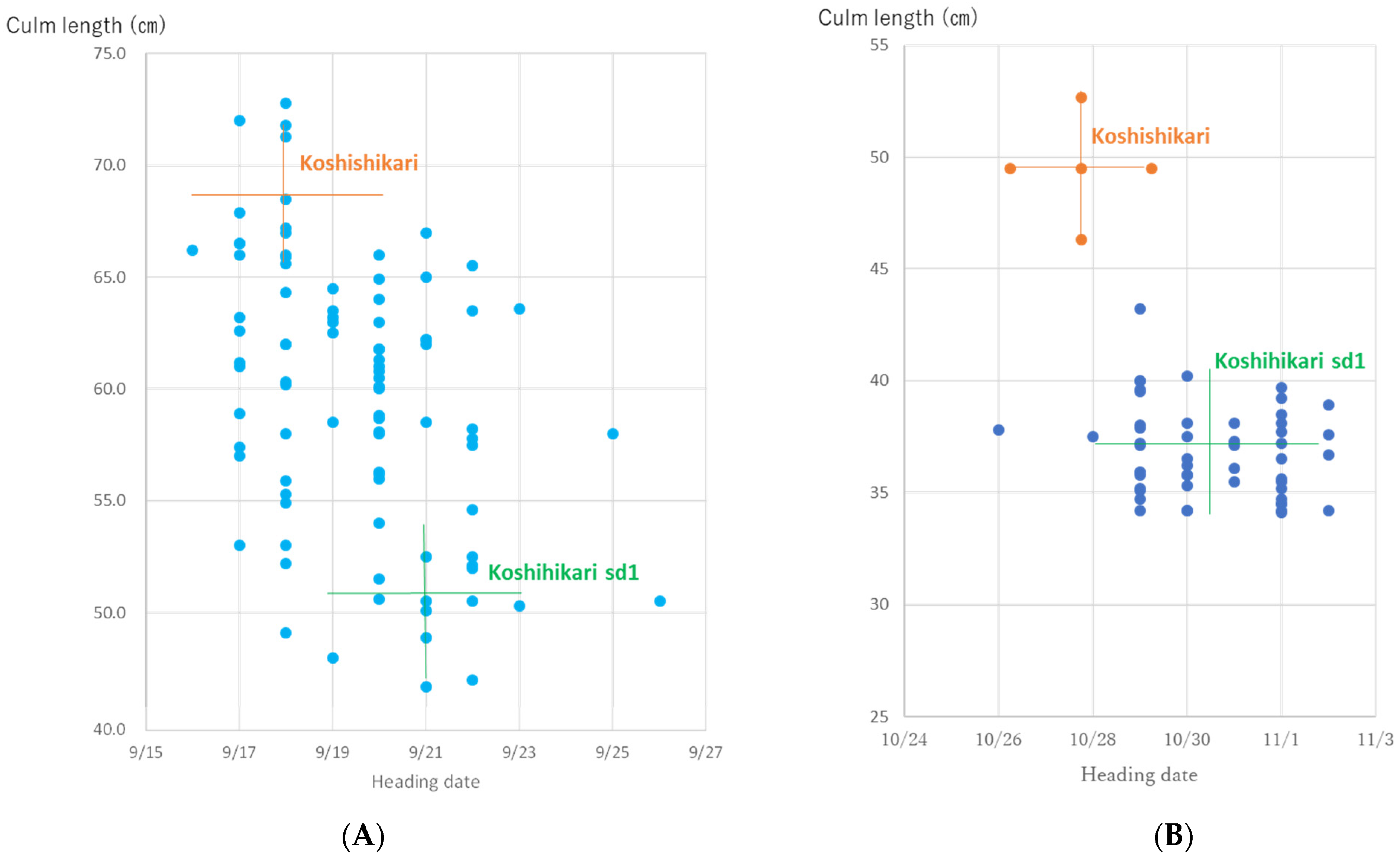 Sustainability 14 11075 g004