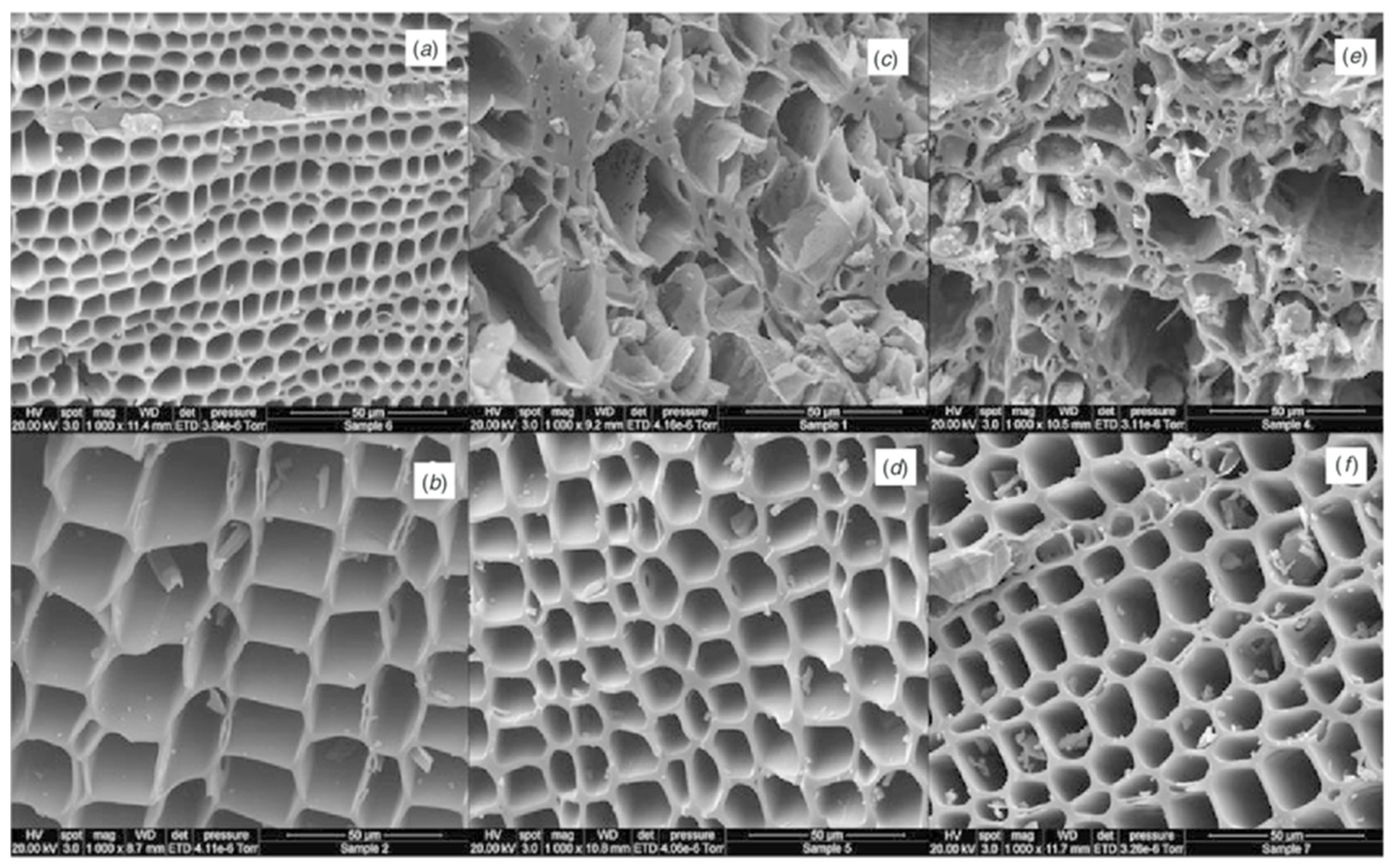 Sustainability 14 11104 g002