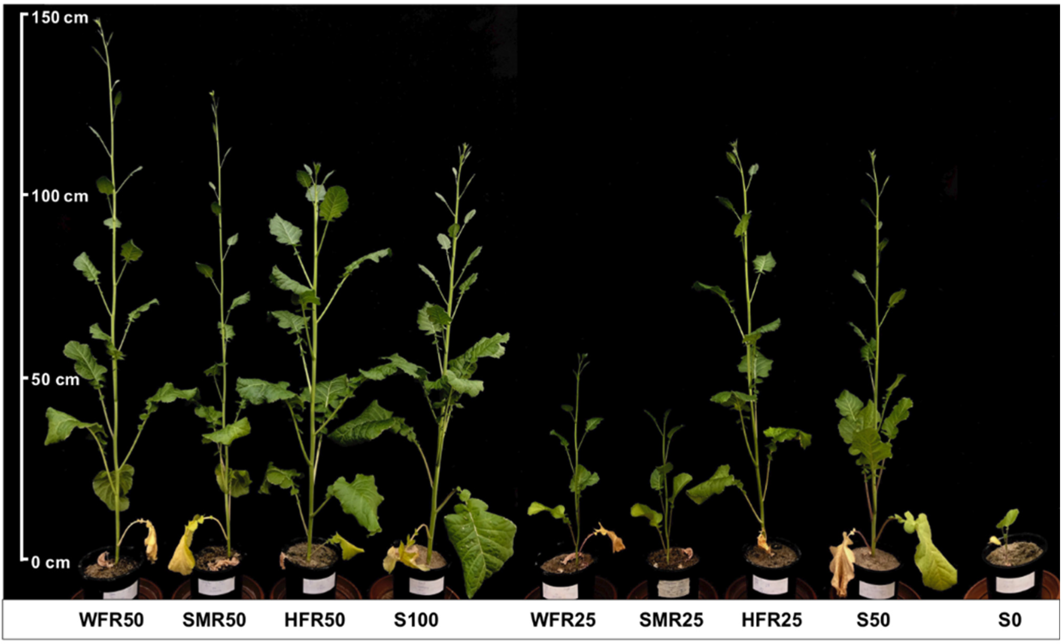 Sustainability 14 11263 g001