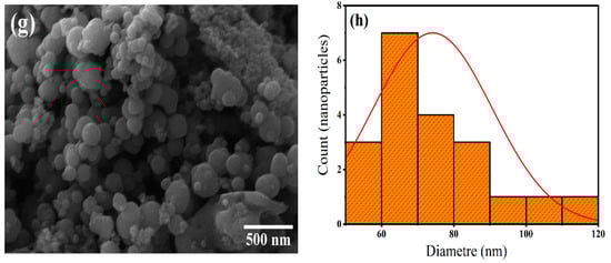 Sustainability 14 11300 g003b 550