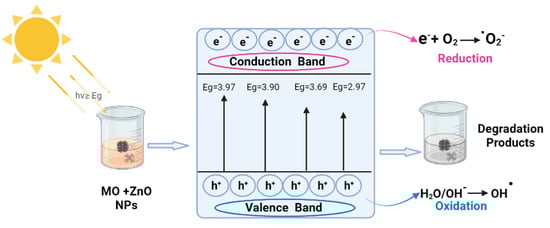 Sustainability 14 11300 g007 550