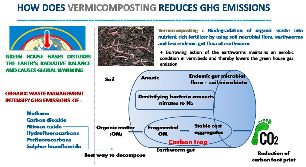 Sustainability 14 11306 g002 Sustainability 14 11306 g002