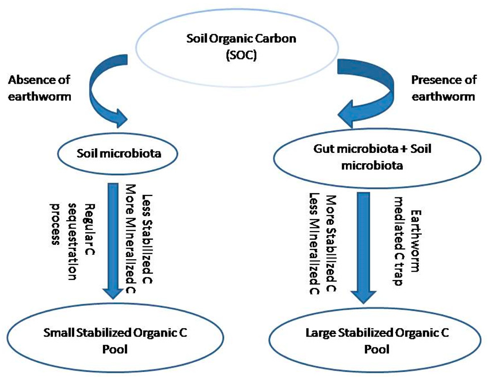 Sustainability 14 11306 g005 Sustainability 14 11306 g005
