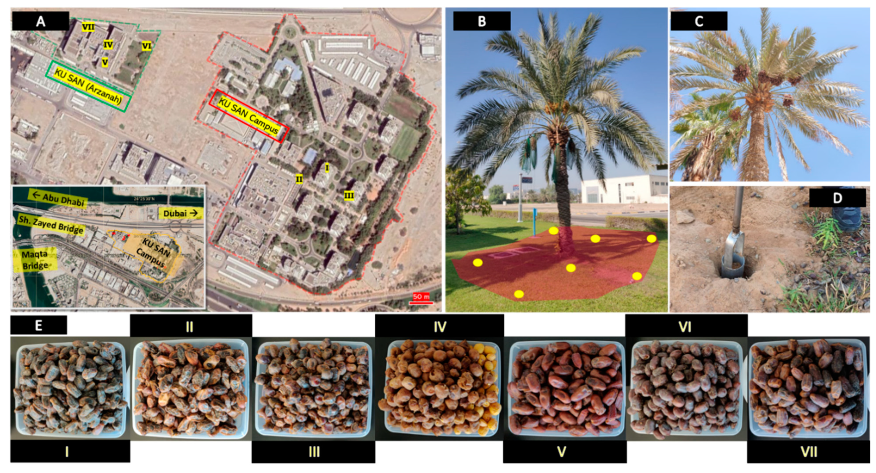 Sustainability 14 11327 g001
