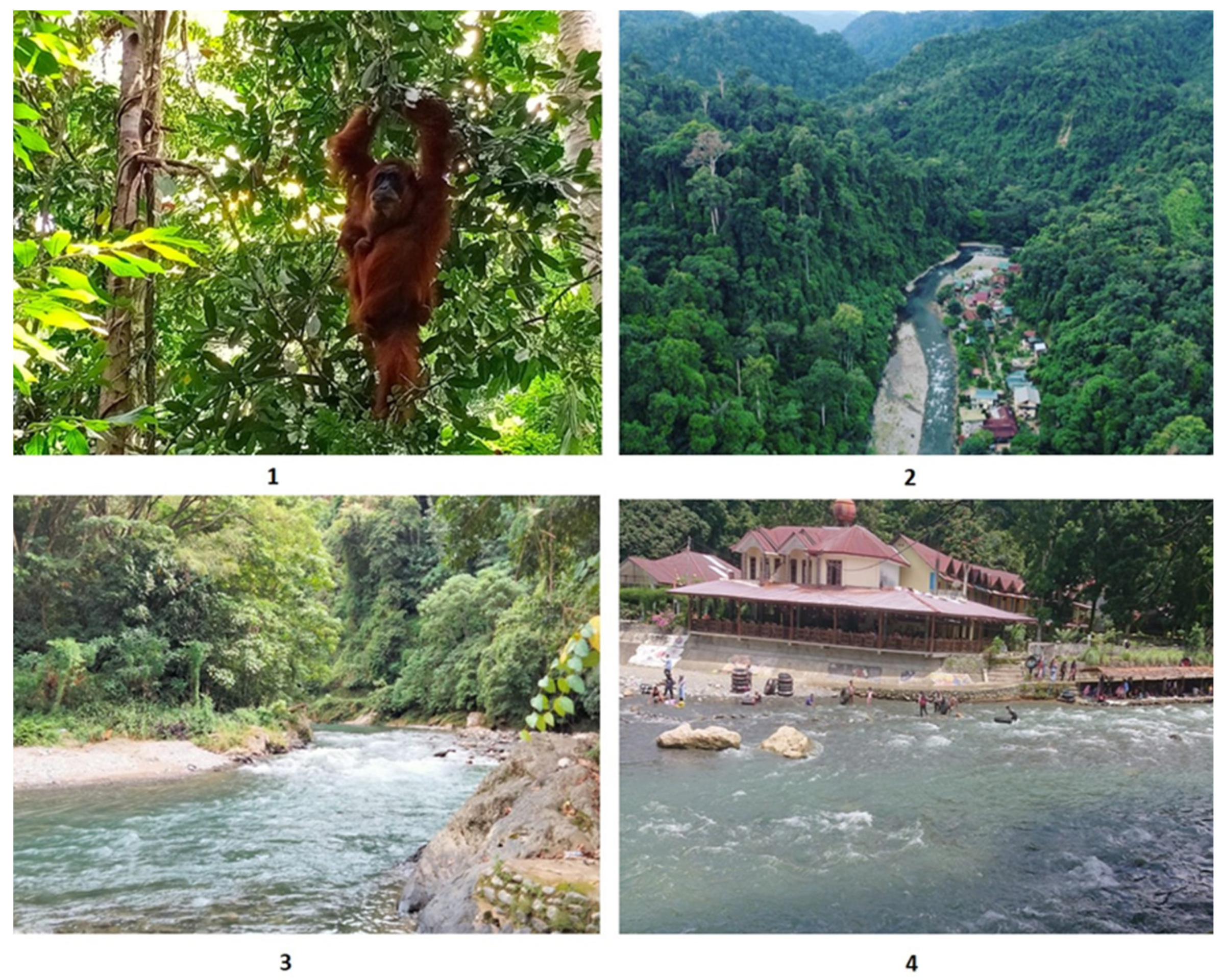 Sustainability 14 11328 g003