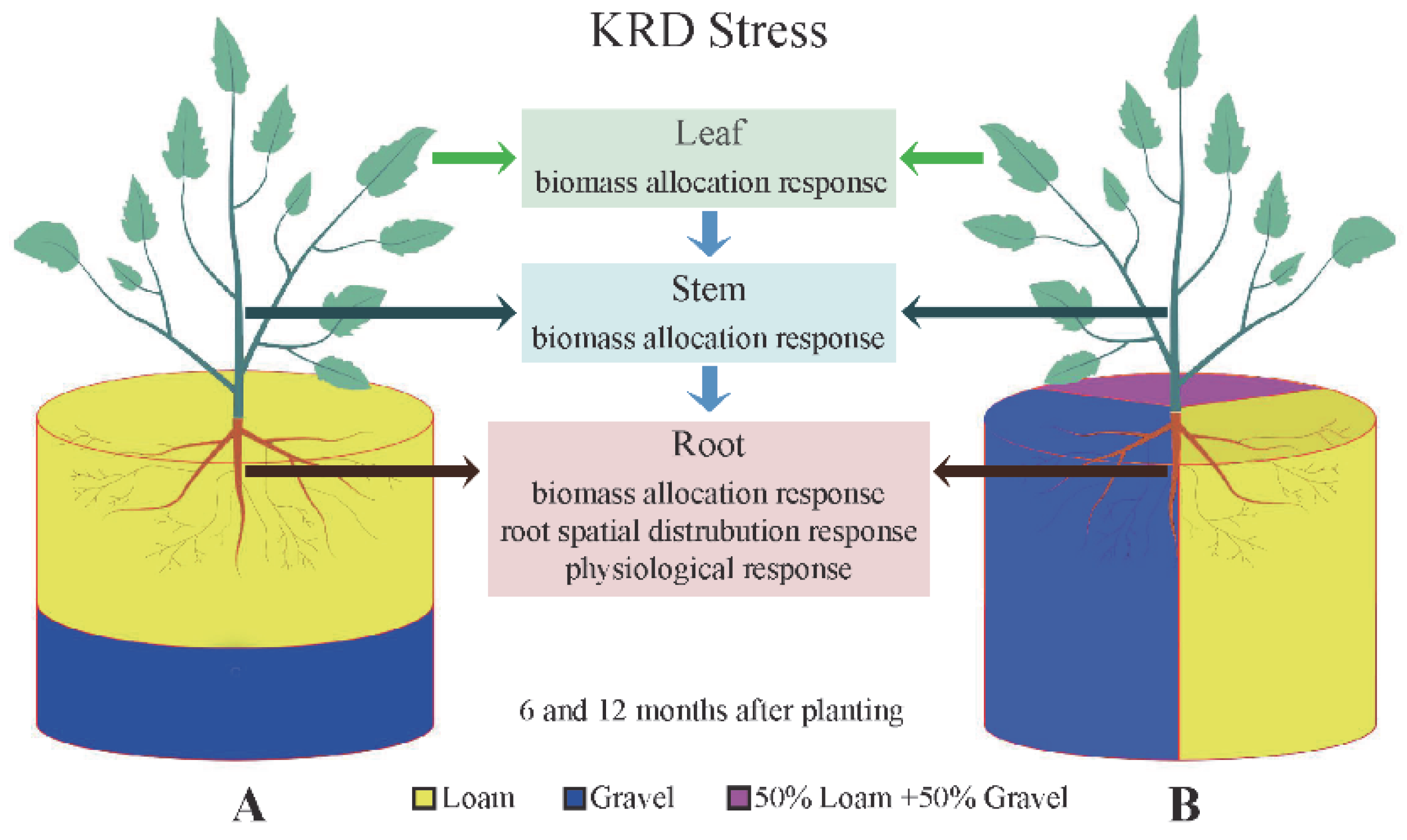 Sustainability 14 11348 g001