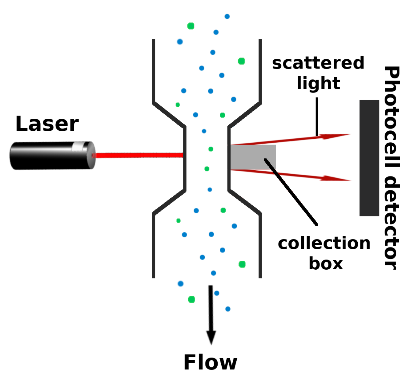Sustainability 14 11516 g003