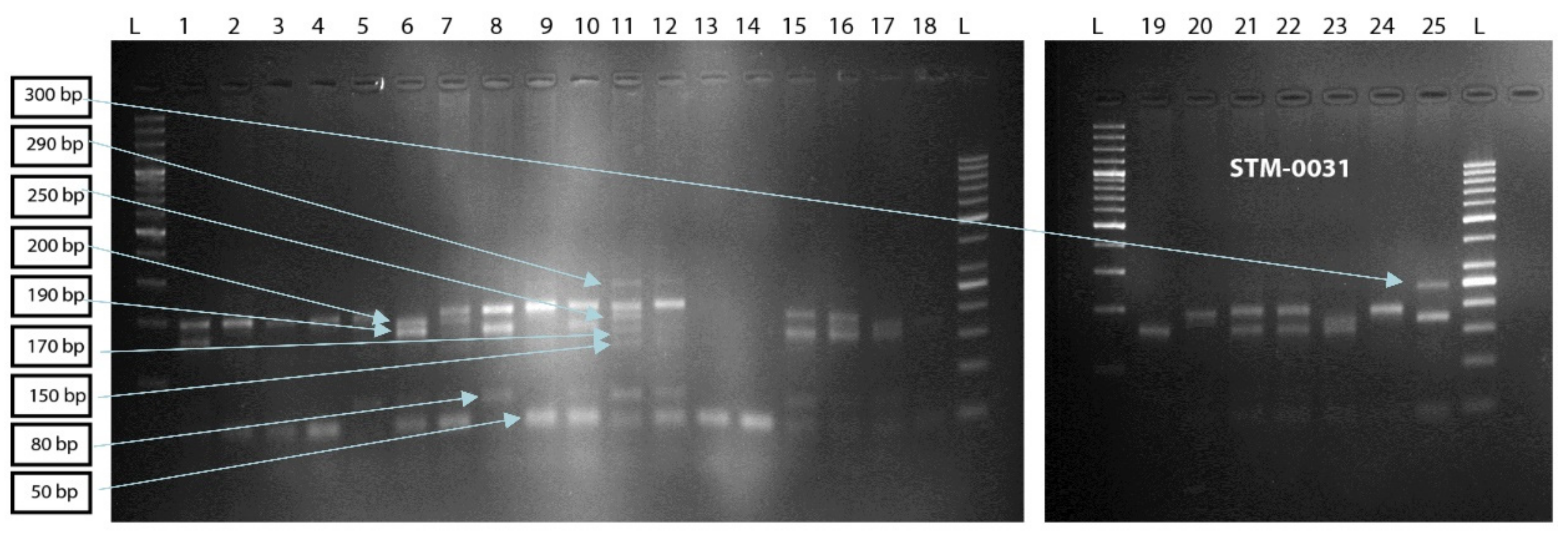 Sustainability 14 11561 g003