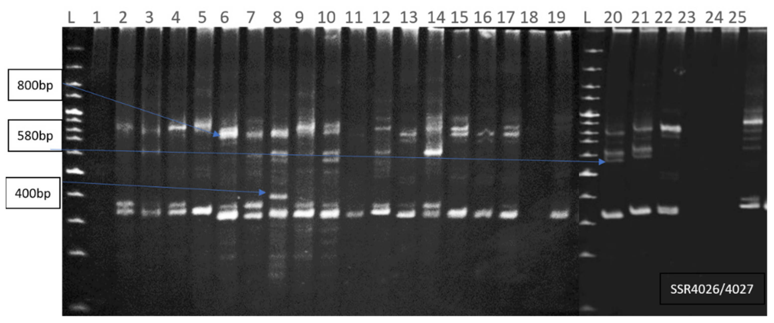 Sustainability 14 11561 g004