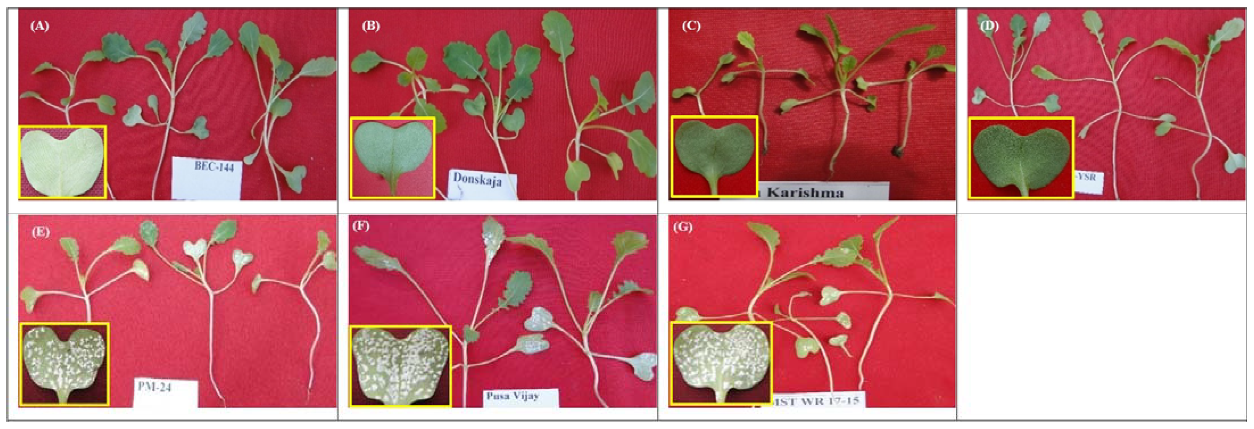 Sustainability 14 11620 g002