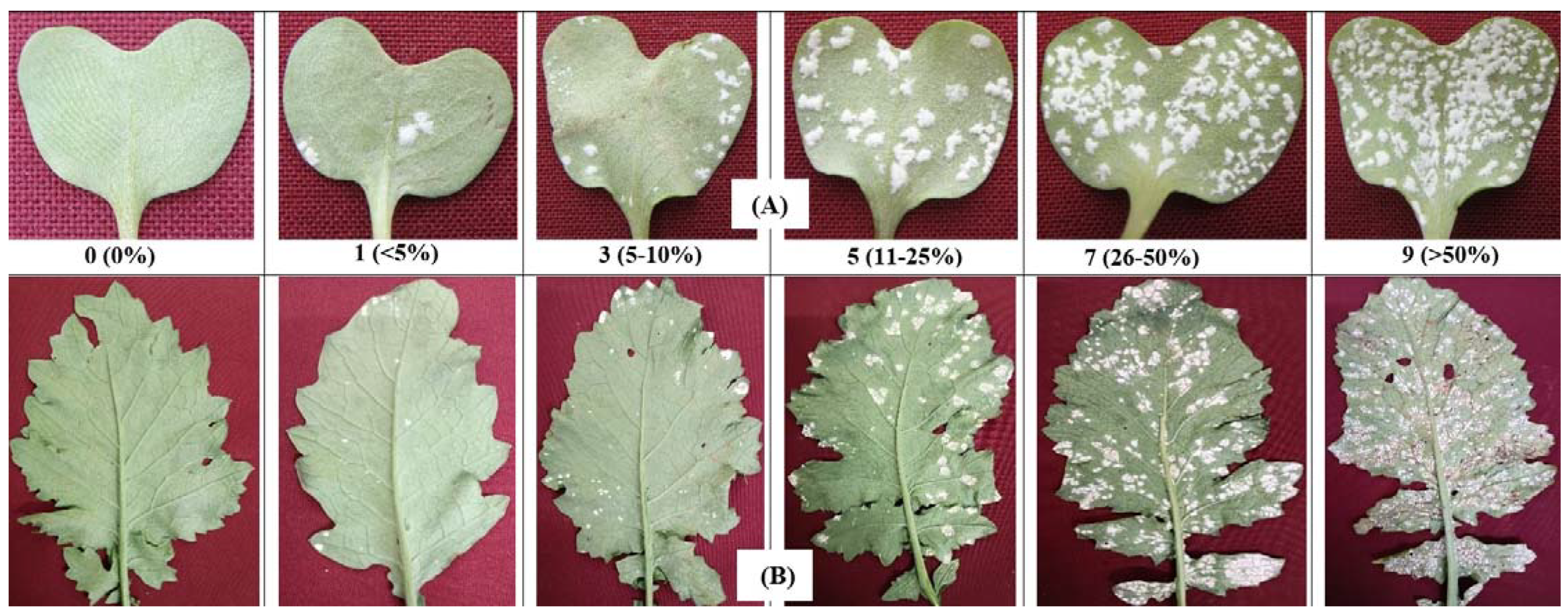 Sustainability 14 11620 g003