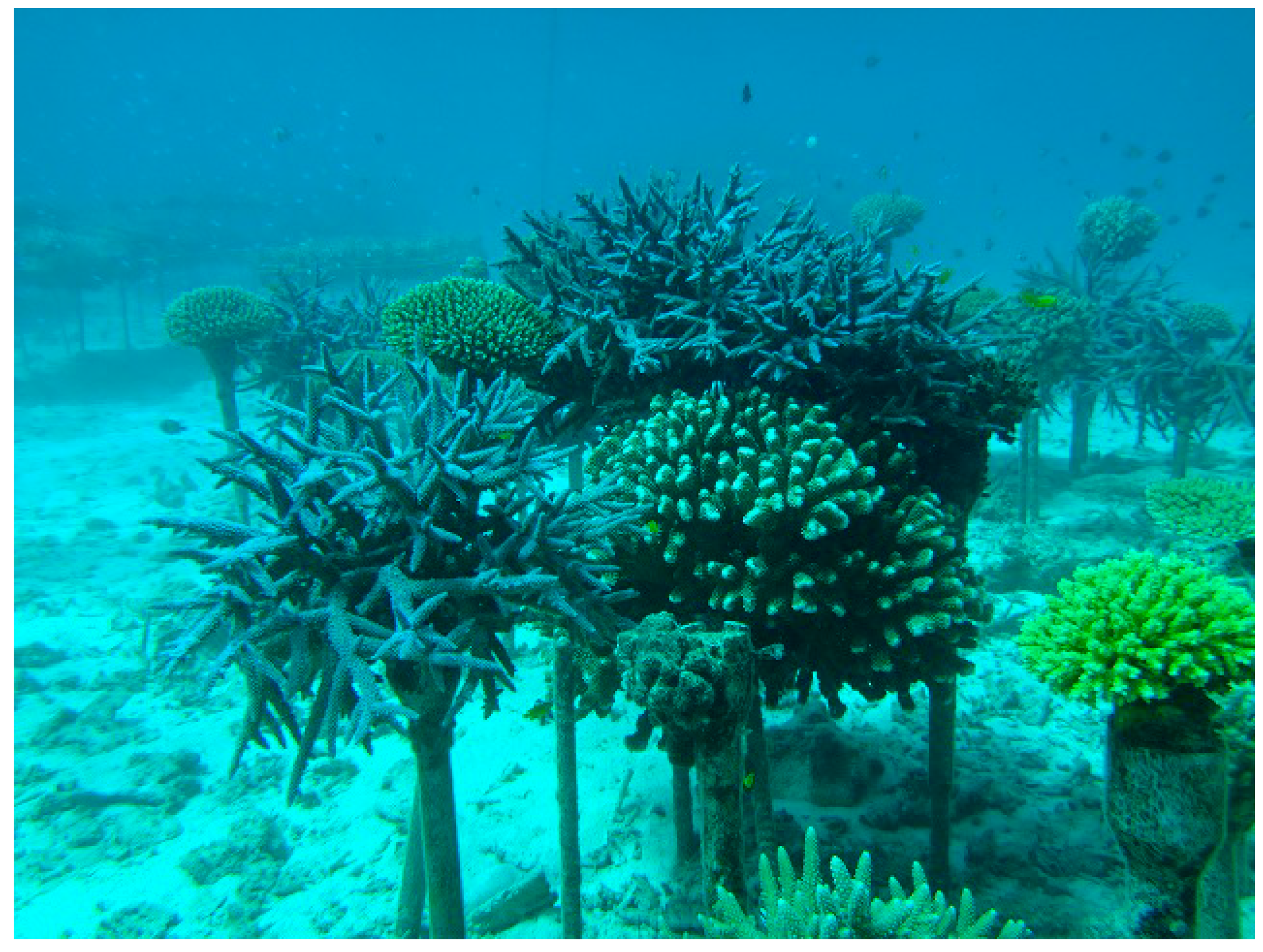 Sustainability 14 11702 g001