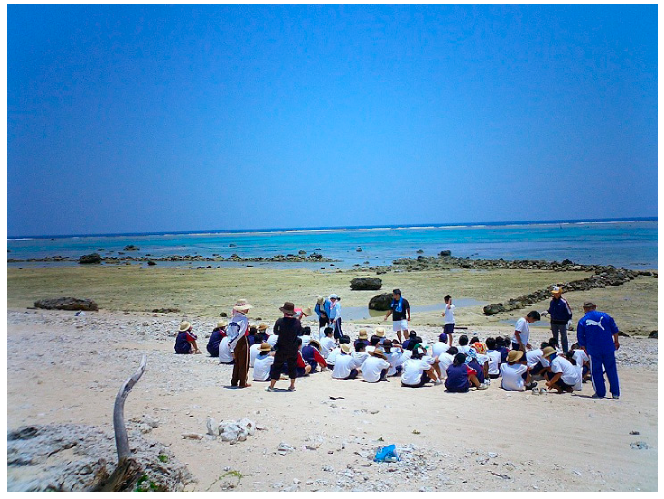 Sustainability 14 11702 g002