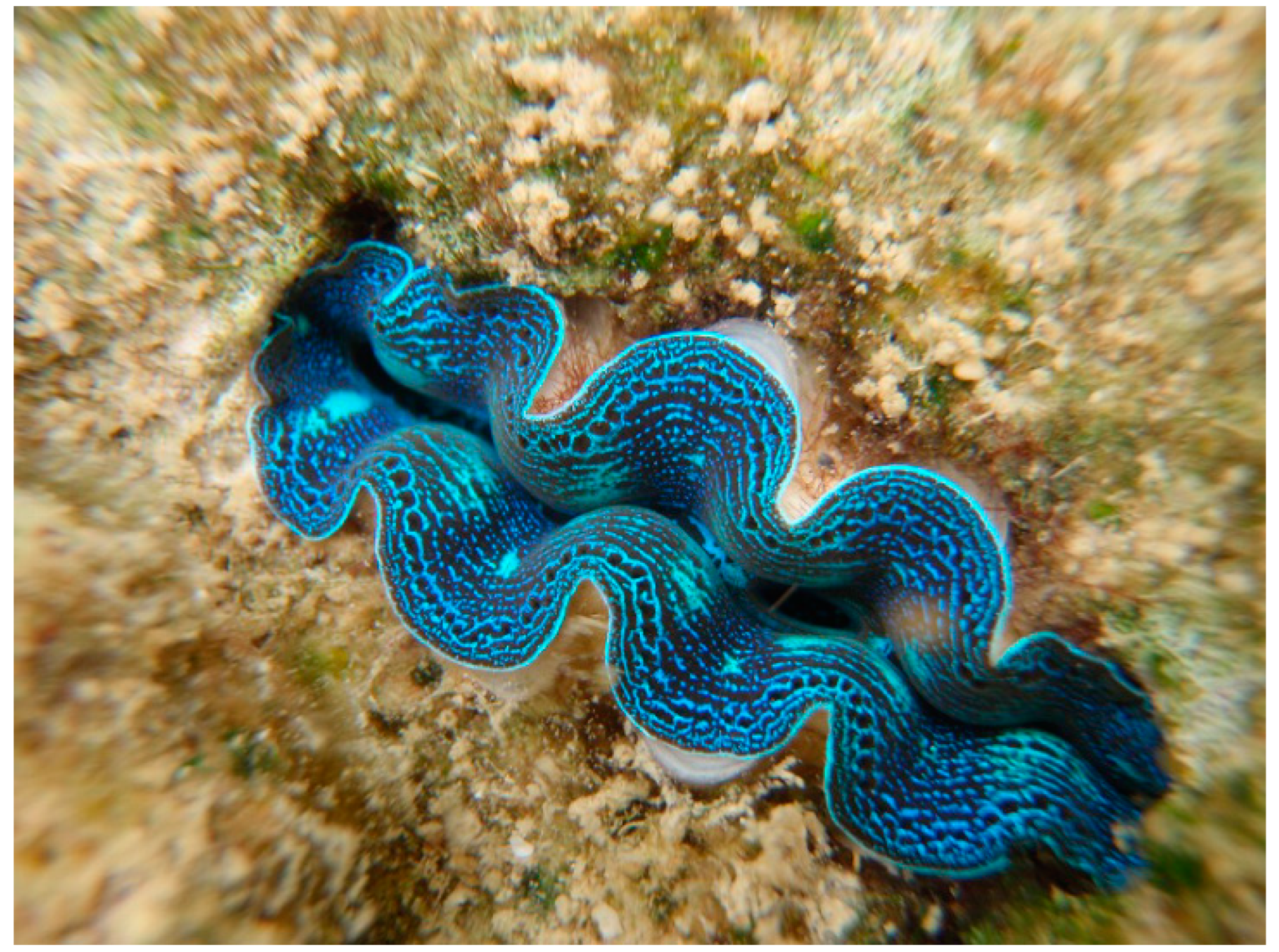 Sustainability 14 11702 g003