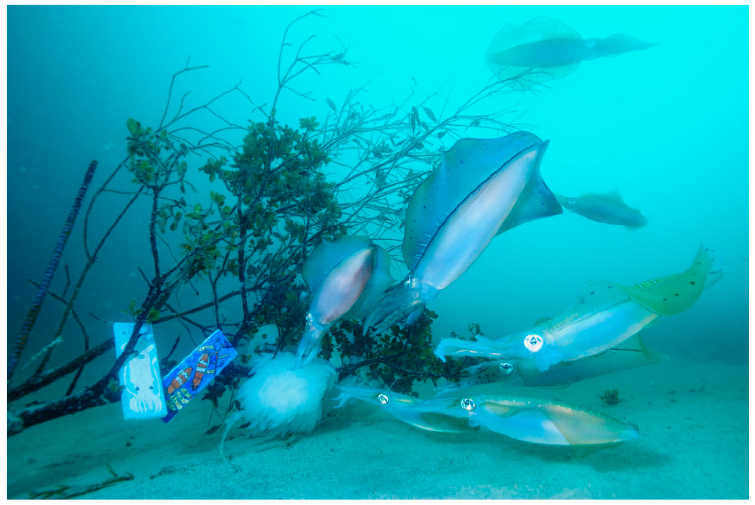 Sustainability 14 11702 g004