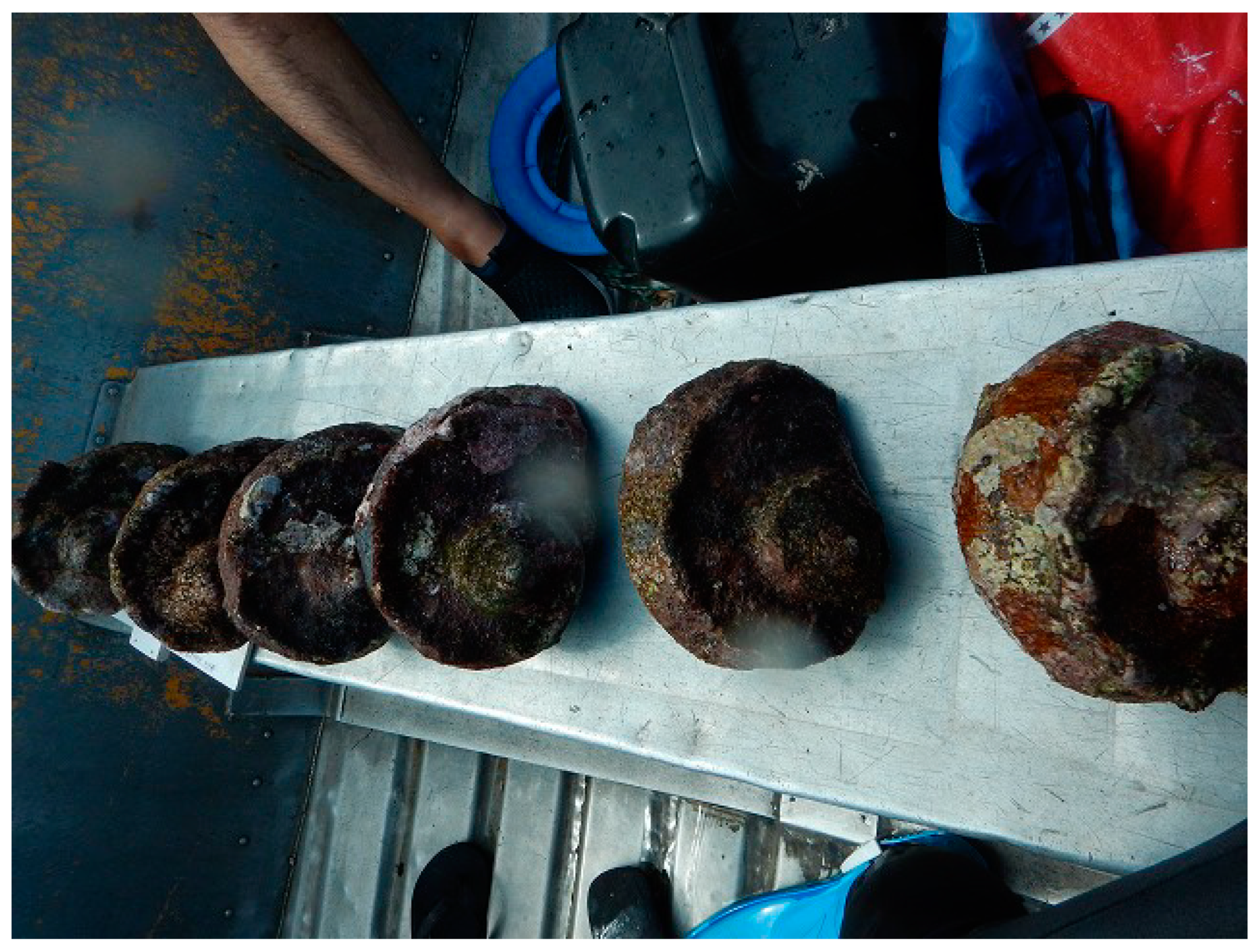 Sustainability 14 11702 g005