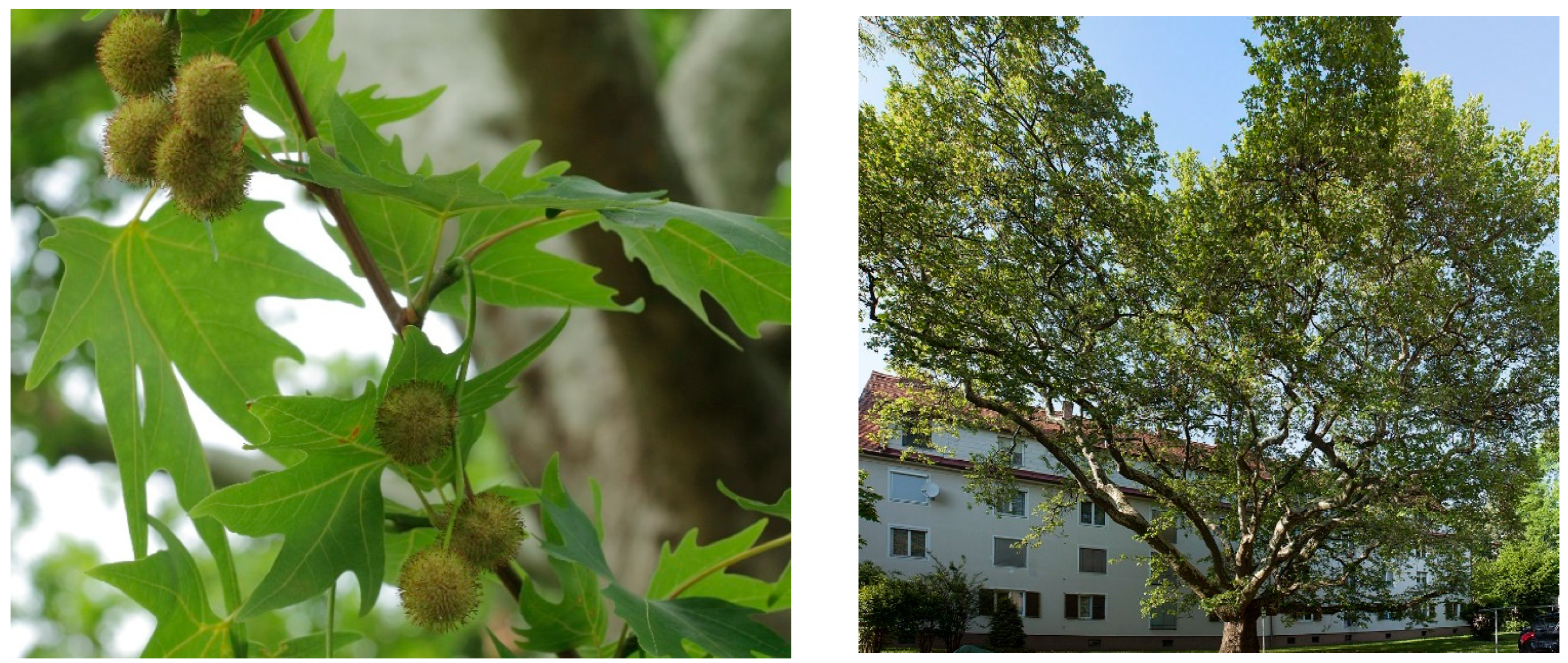 Sustainability 14 11706 g001