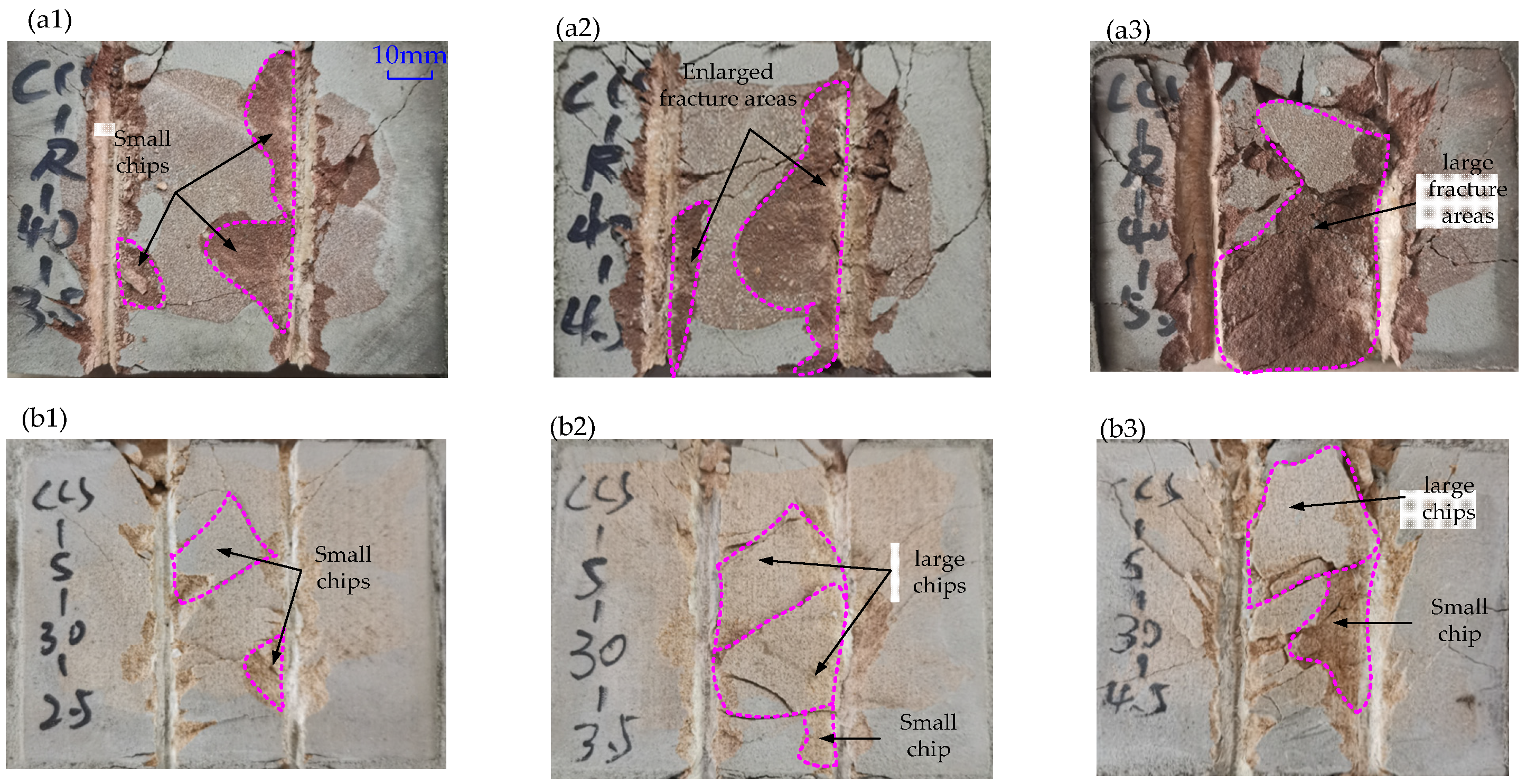 Sustainability 14 11733 g002