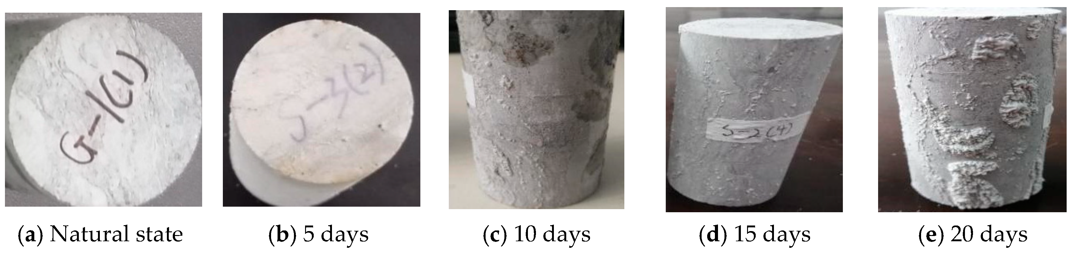 Sustainability 14 11771 g003