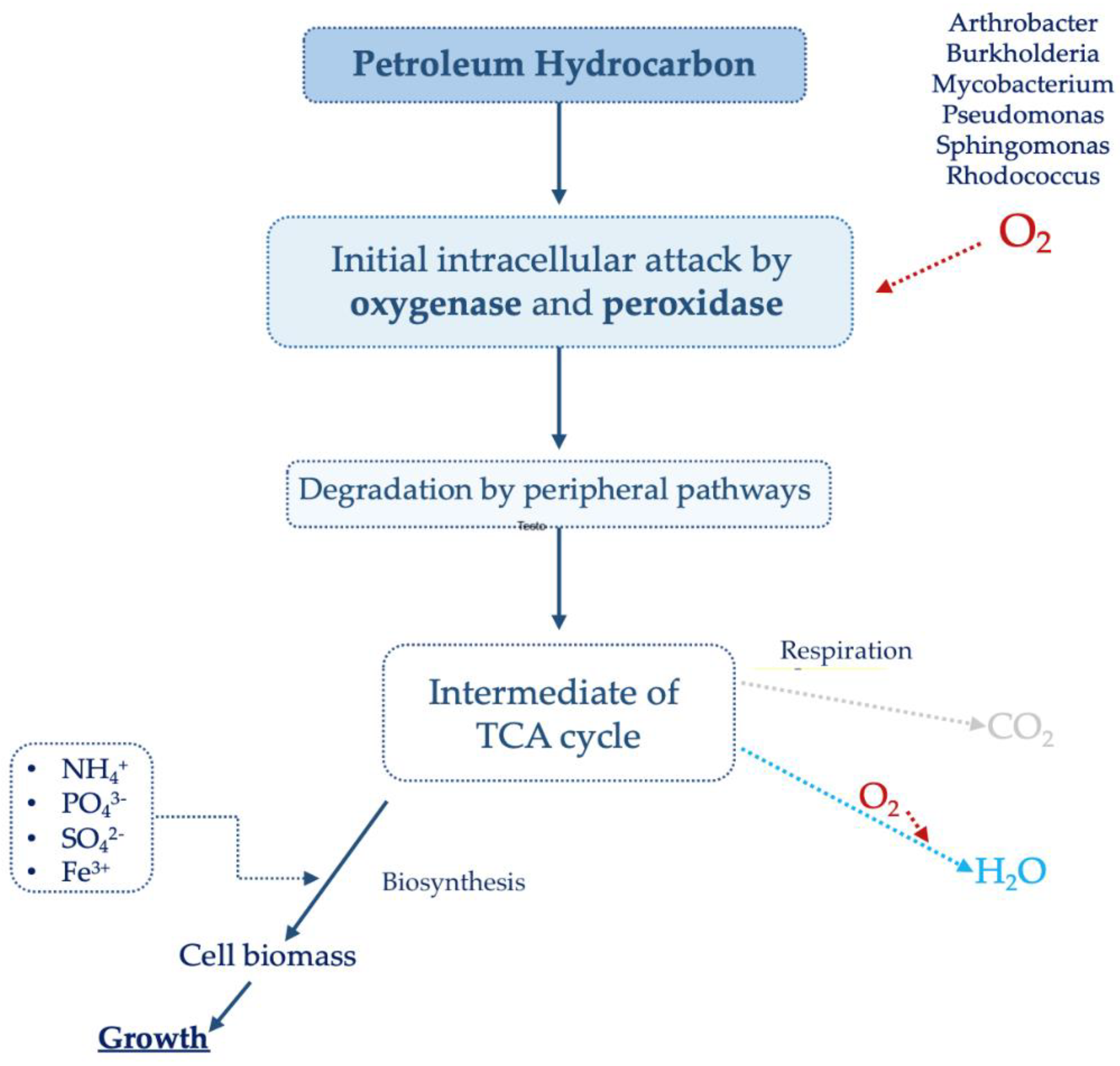 Sustainability 14 11784 g002