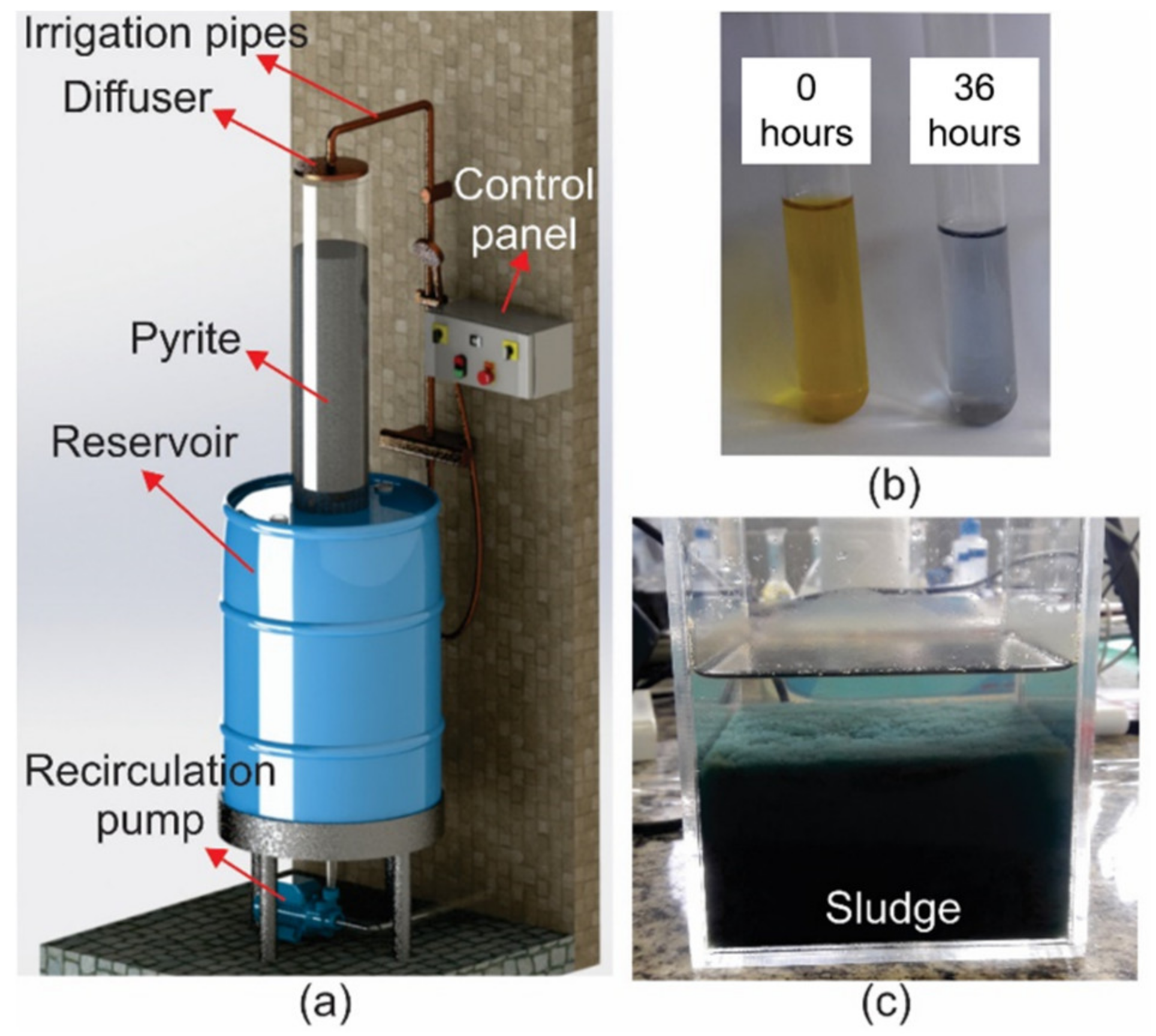 Sustainability 14 11814 g002
