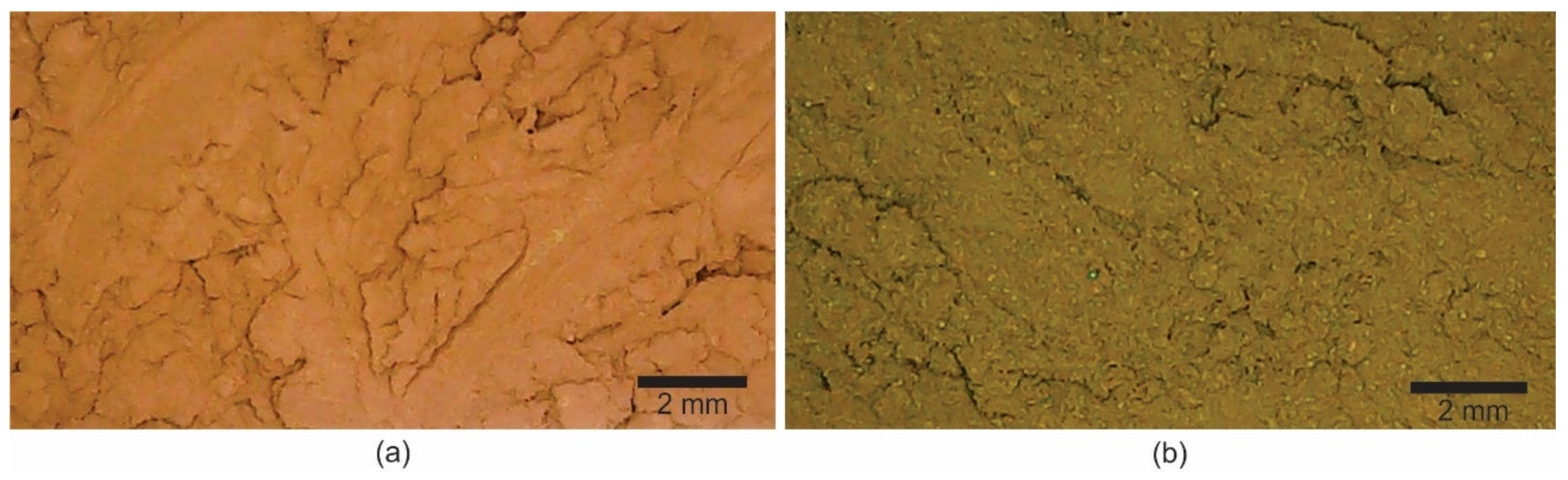 Sustainability 14 11814 g003