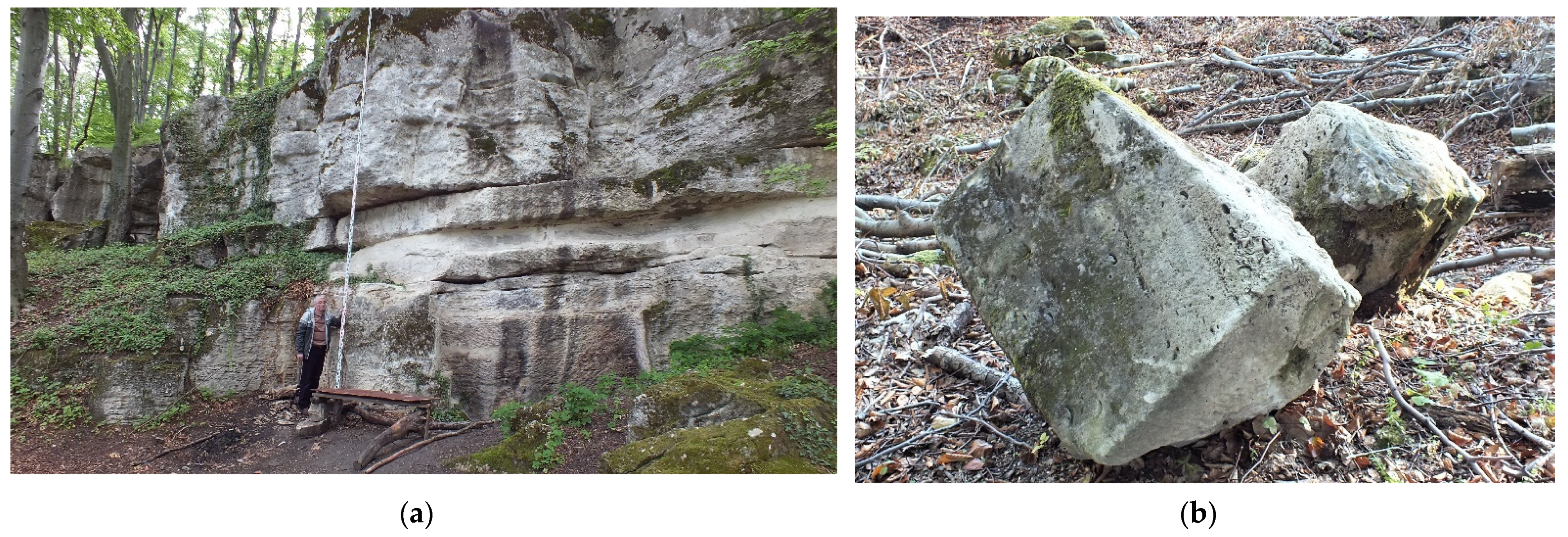 Sustainability 14 11818 g008