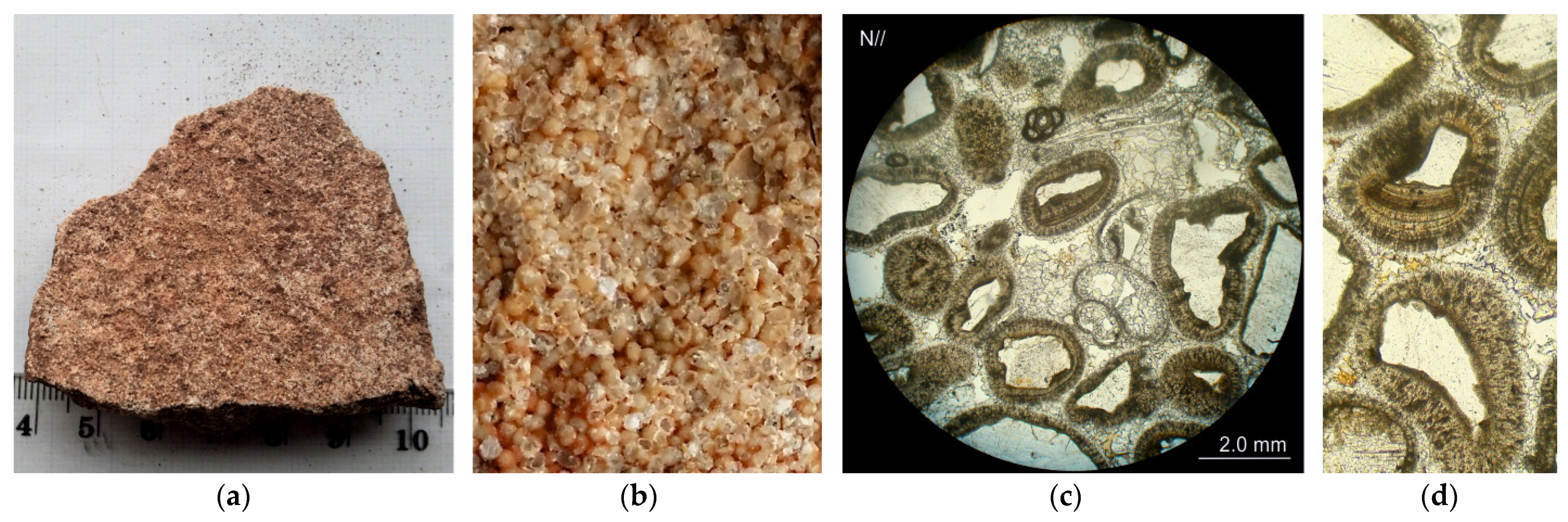 Sustainability 14 11818 g014