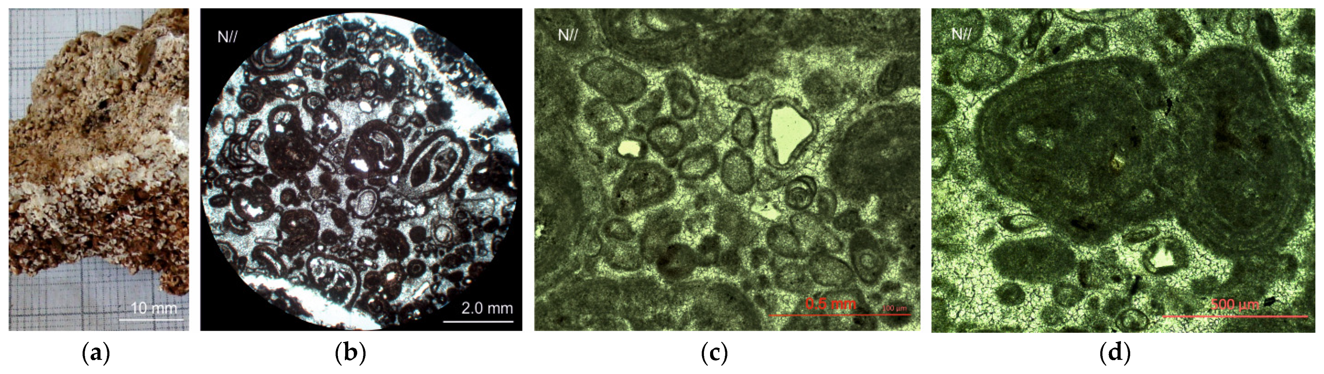 Sustainability 14 11818 g016