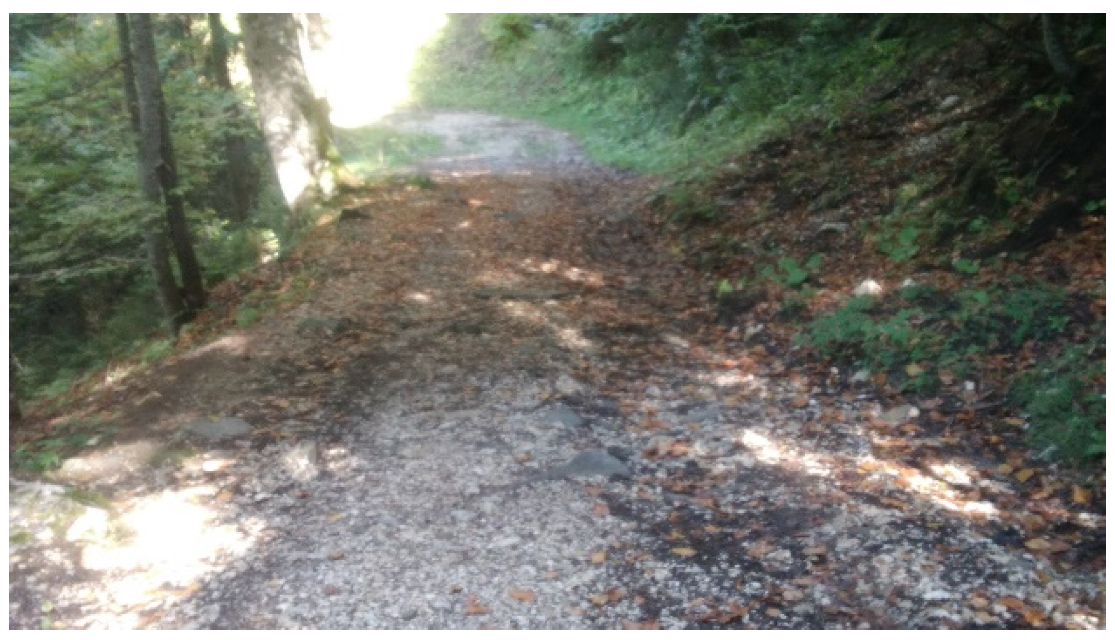 Sustainability 14 11870 g001