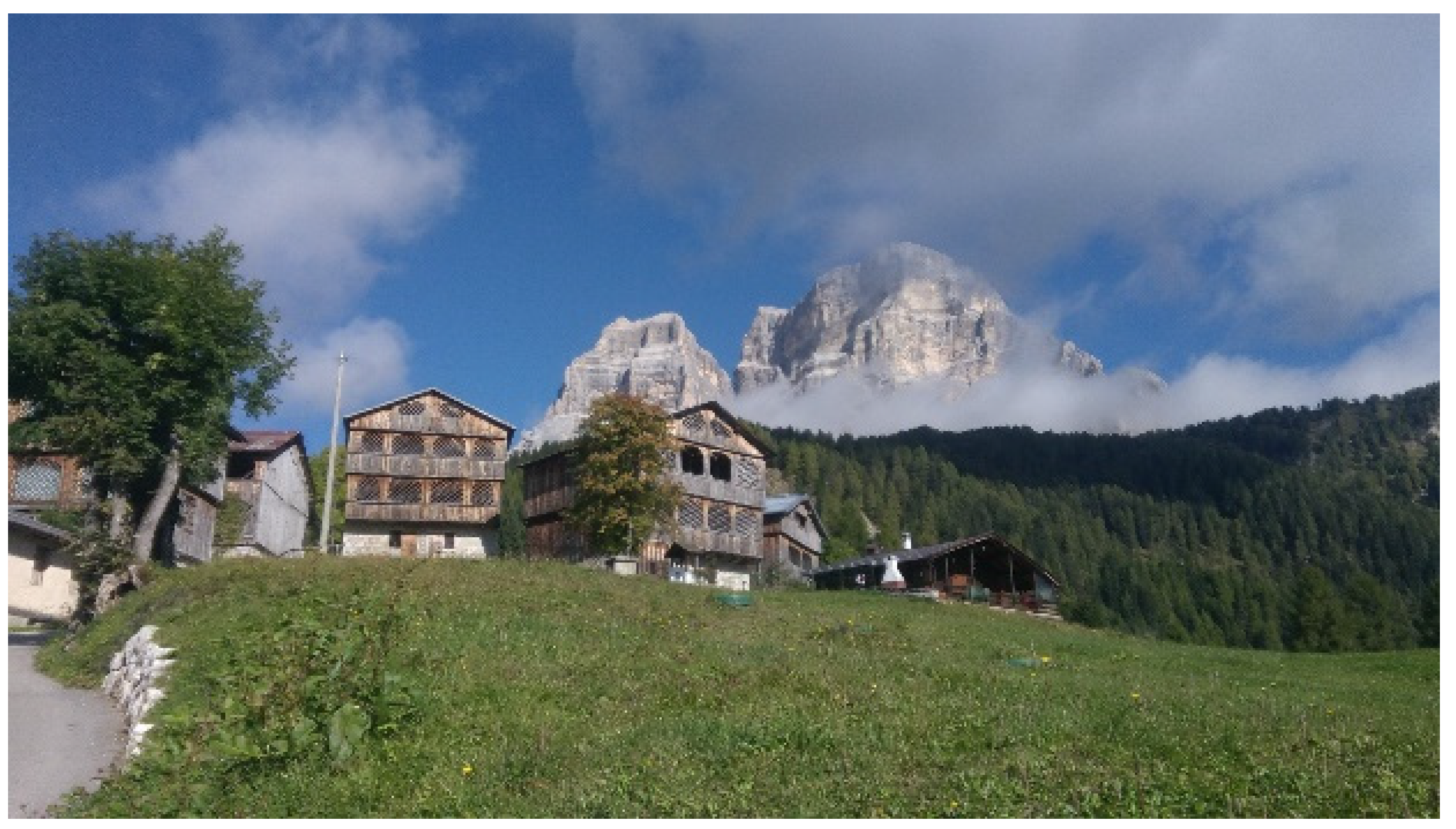 Sustainability 14 11870 g003