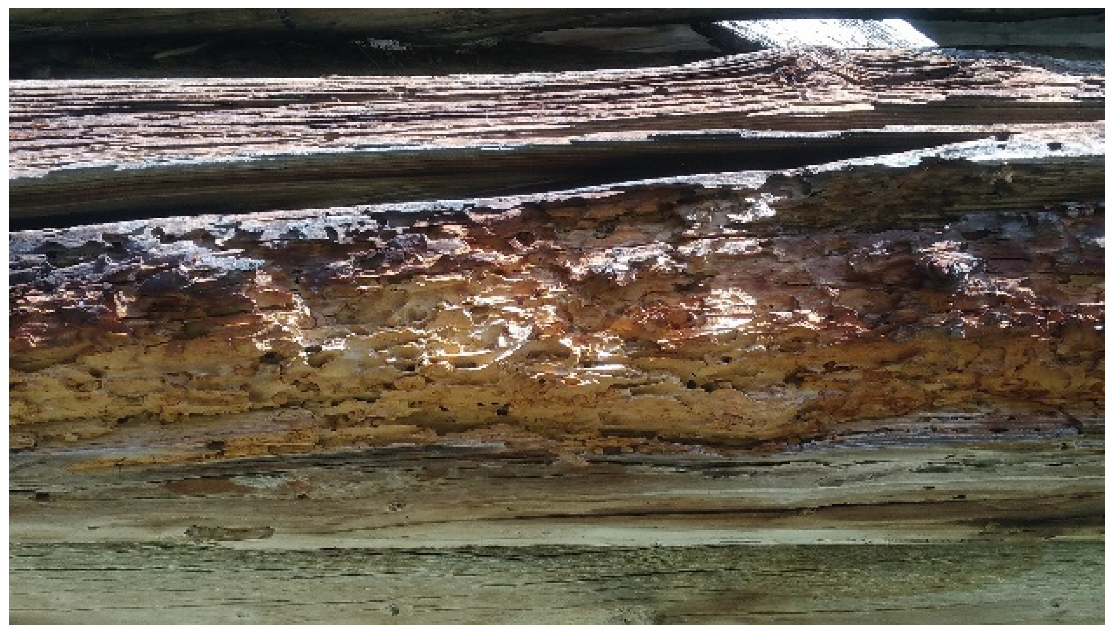 Sustainability 14 11870 g008