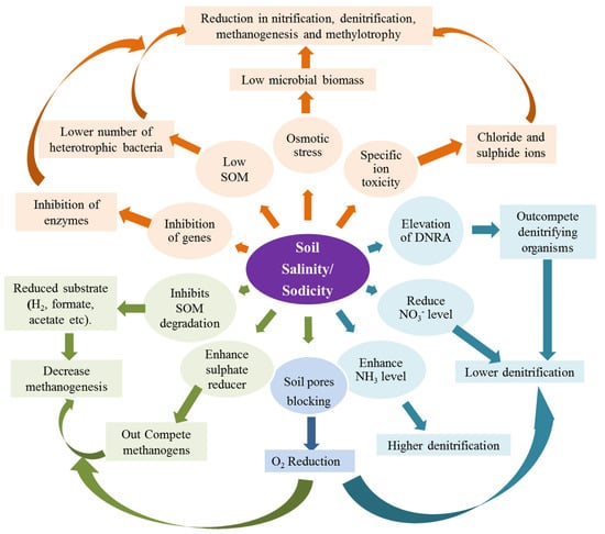 Sustainability 14 11876 g002