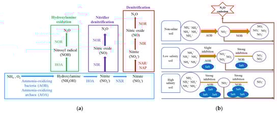 Sustainability 14 11876 g003