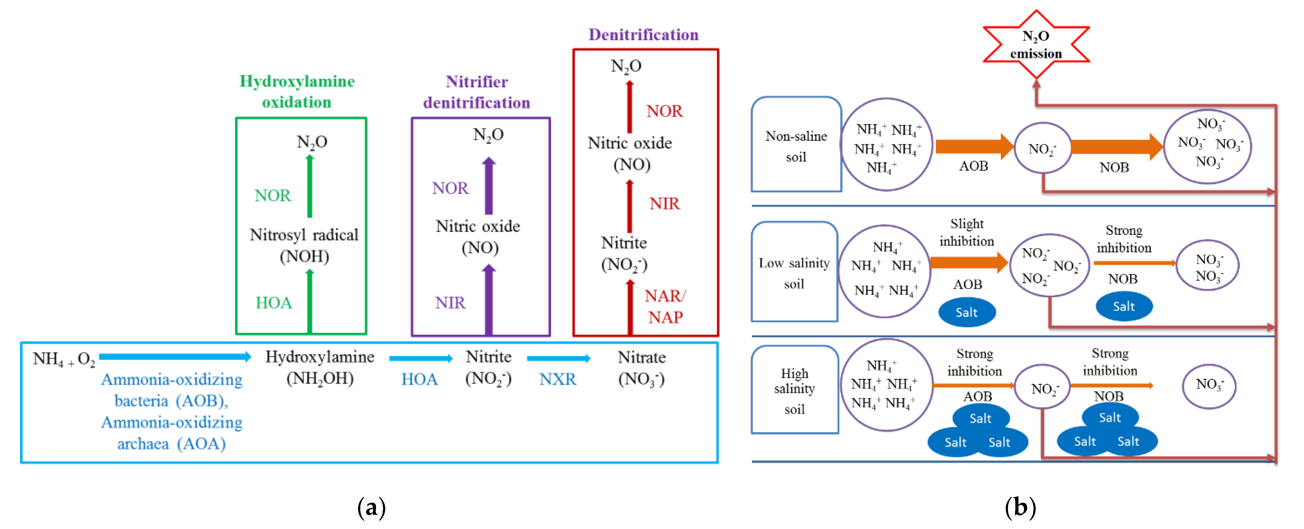 Sustainability 14 11876 g003